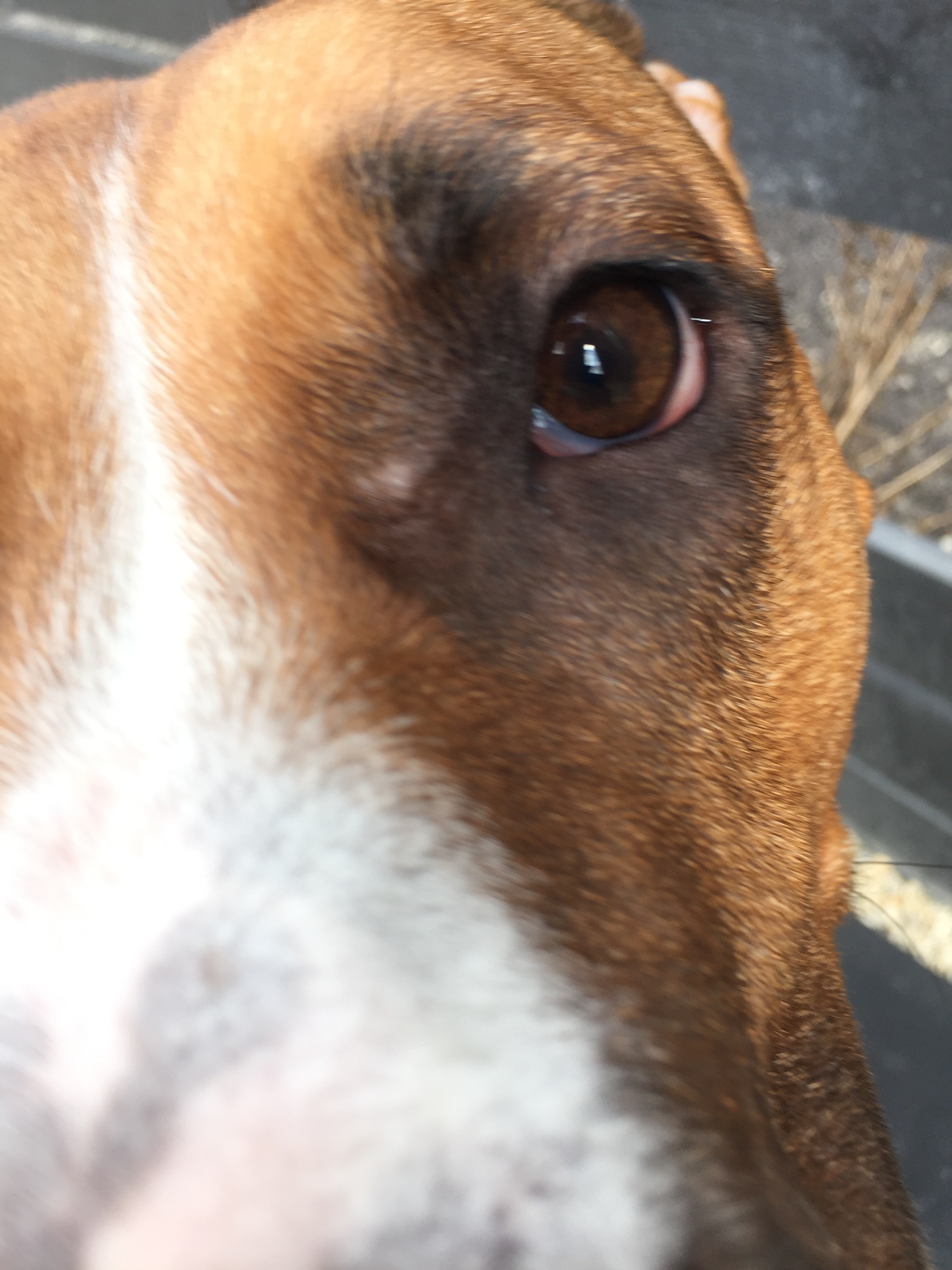 Marge in extreme close up. Easily the most common picture of her that I have.