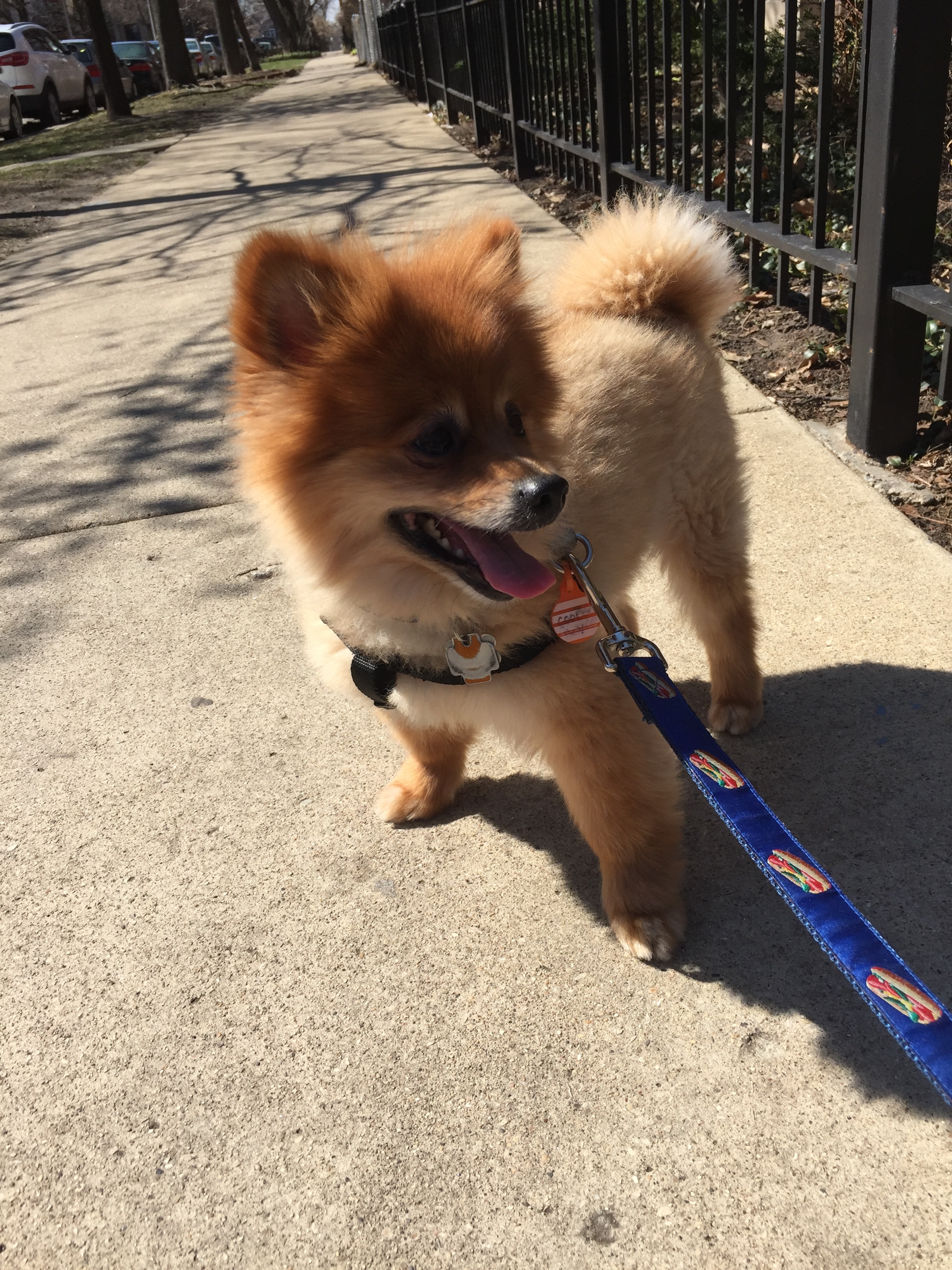 Cooper looking pretty god damn happy.