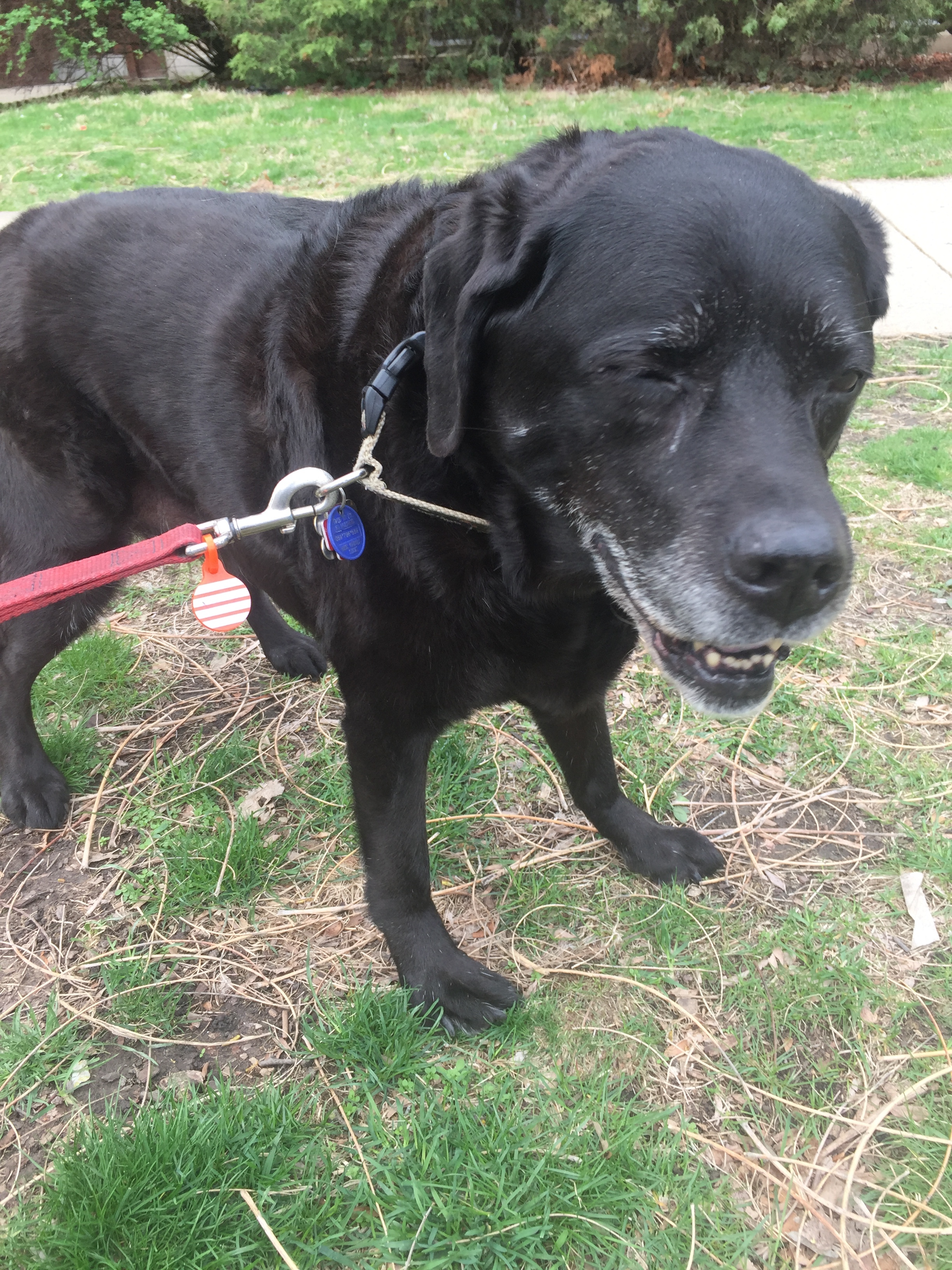 Nola, relieved after telling me her life story after a beautiful springtime walk.