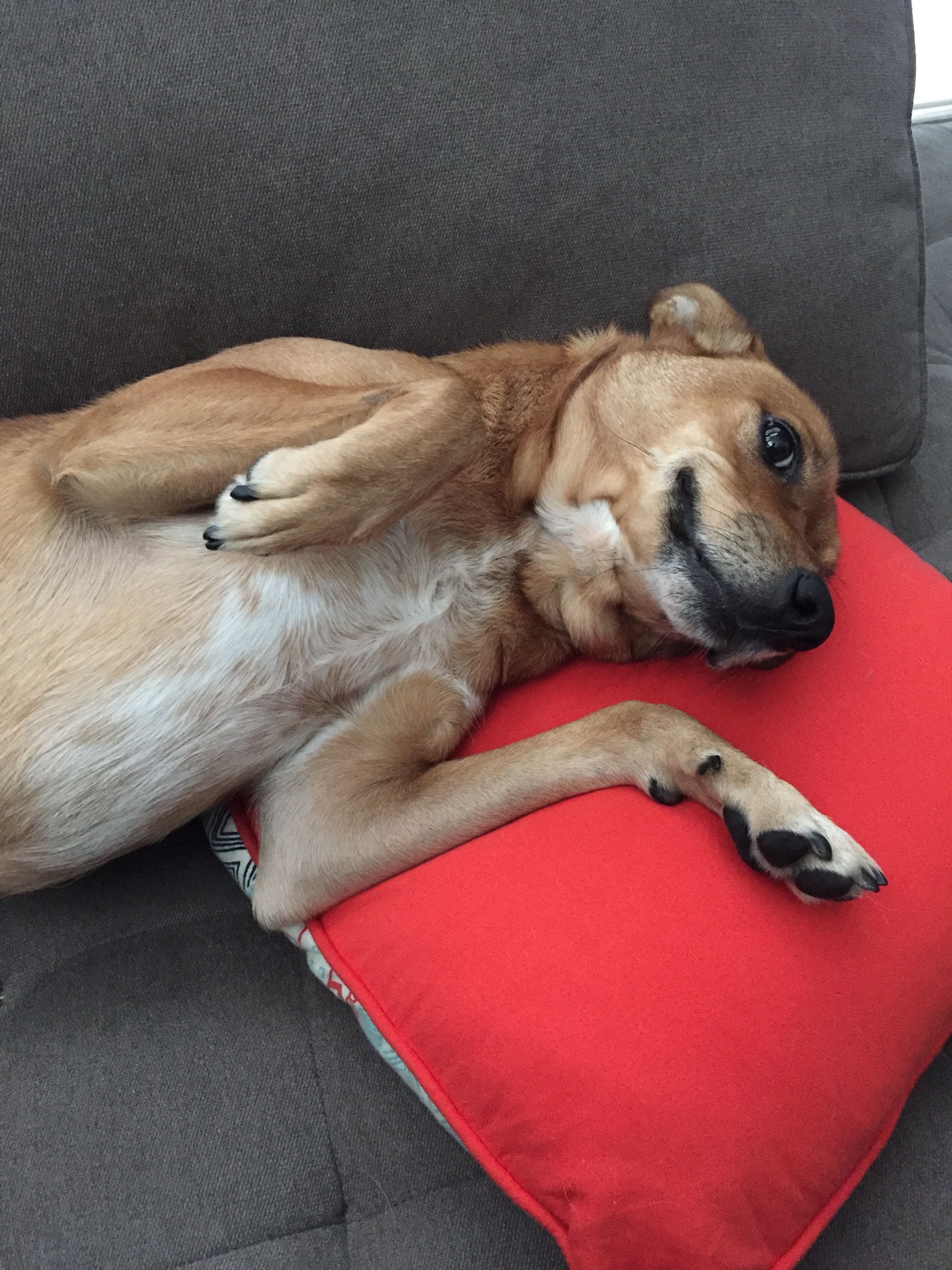 Hercules, demonstrating his value.