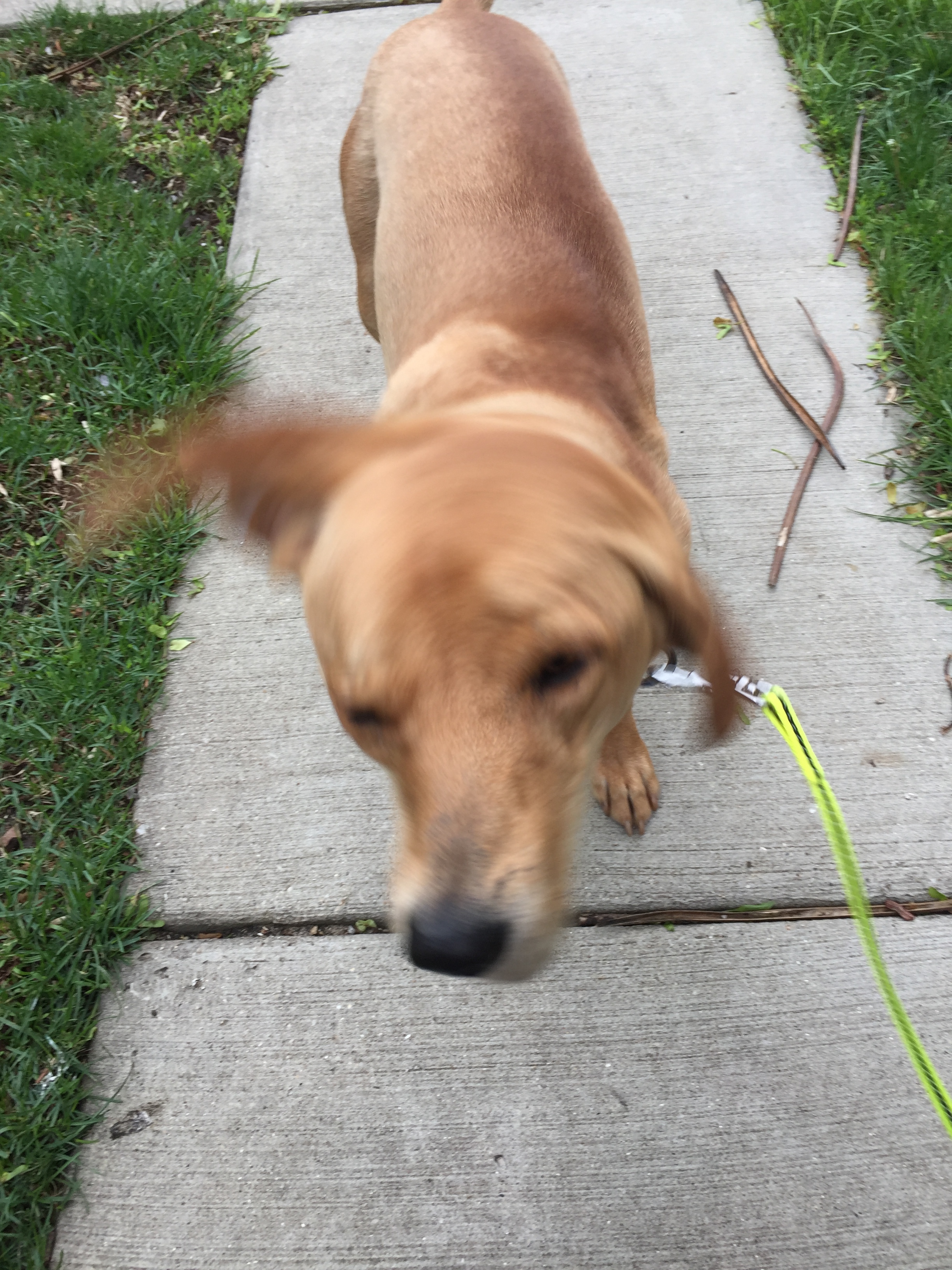 Ramone, a new client.