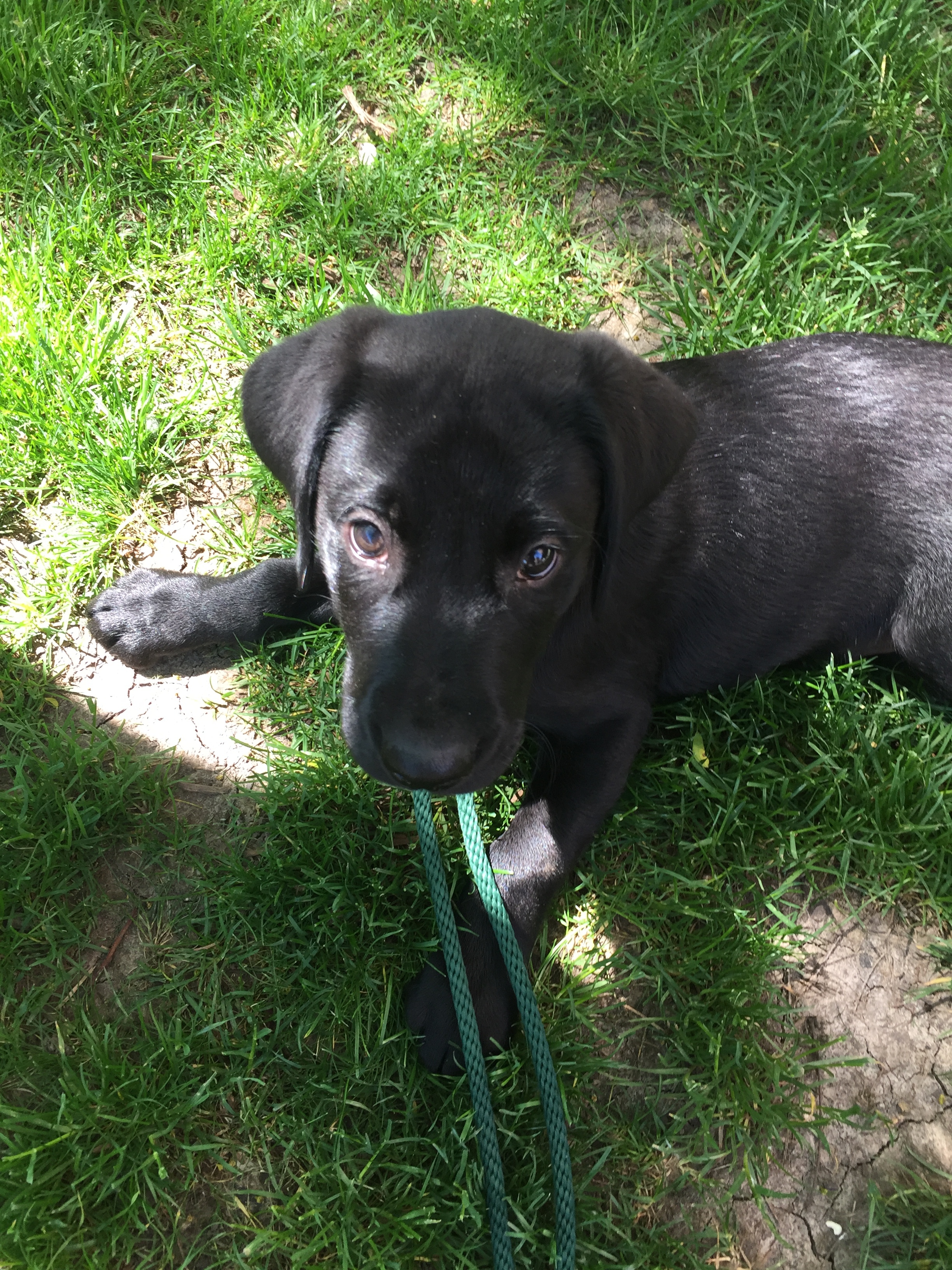 Thinking about chewing.