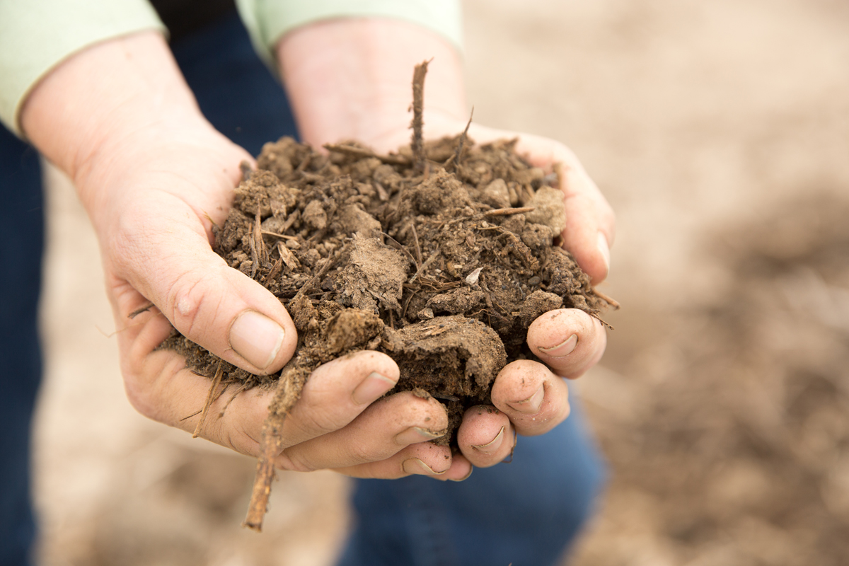 180612-carbon-farming-soil-1.jpg