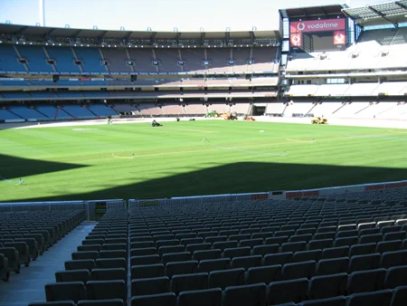 mcg_2_large.jpg
