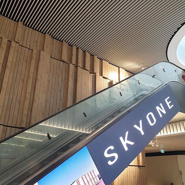 //SKYONE// 3 storey custom retail wall. Consisting of various individual boxed sections ranging from 100-450mm in width and depth. Positioned adjacent to the escalators and restaurants onlookers will be in close proximity to the undulating metal surf