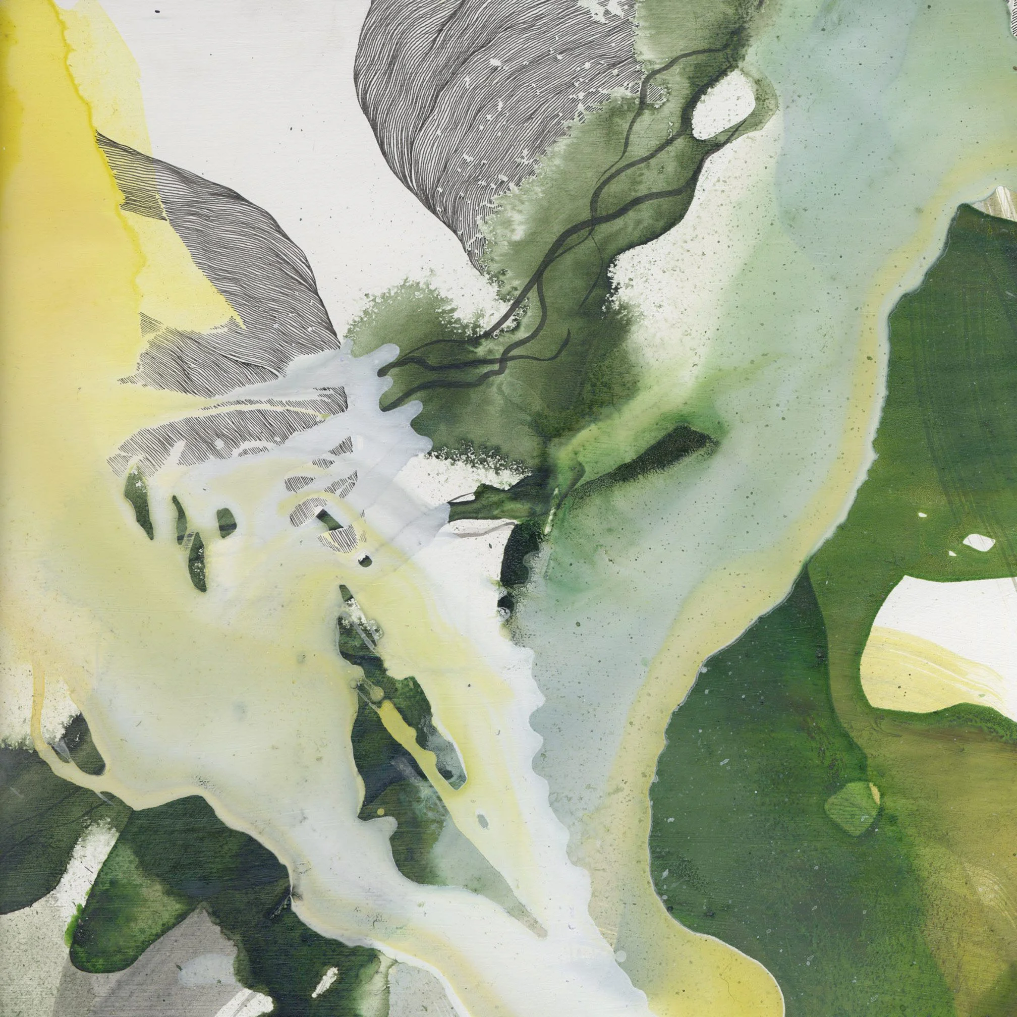 Detail - Albicant XIII
