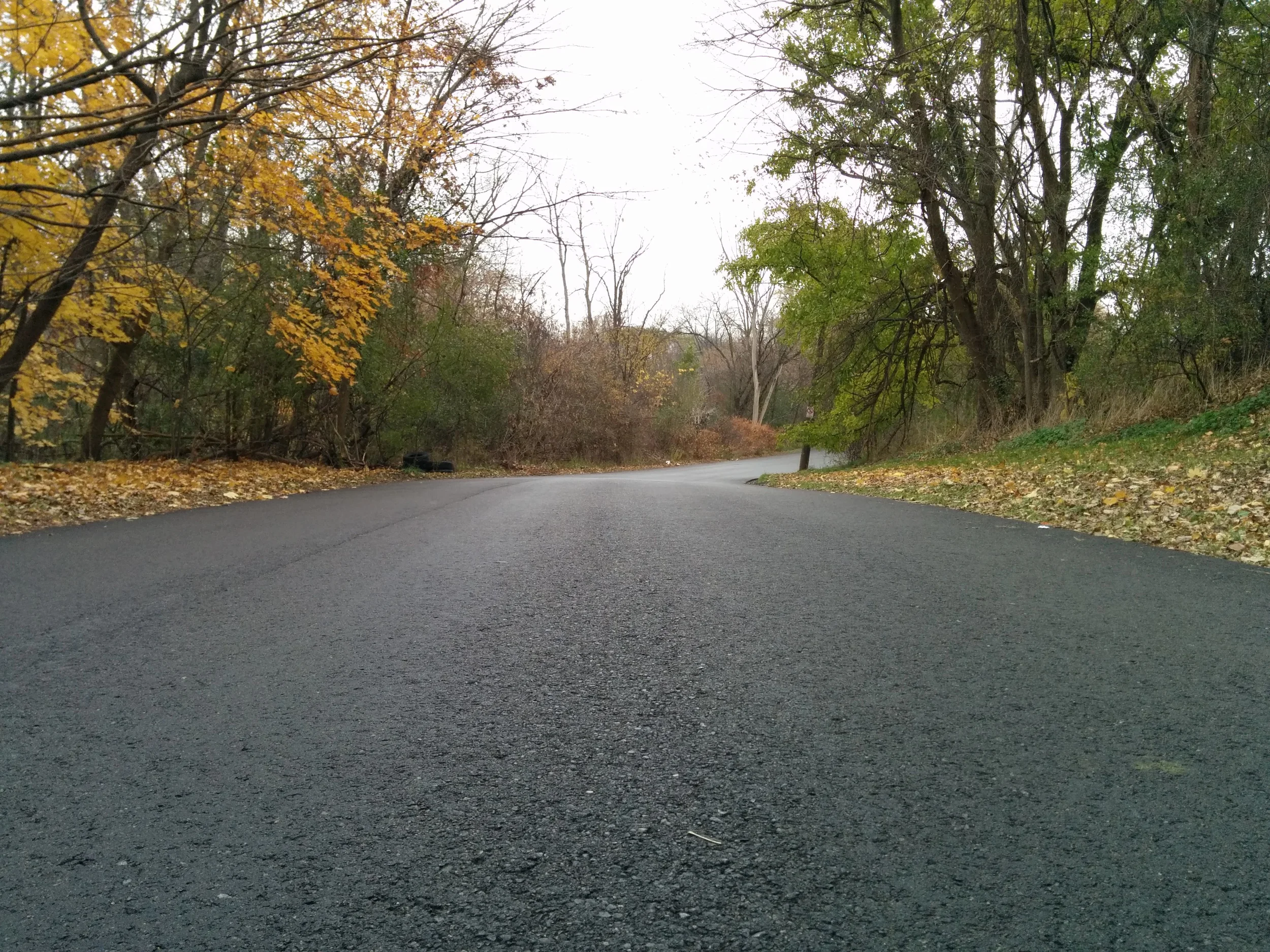 IMG_20131111_115441.jpg