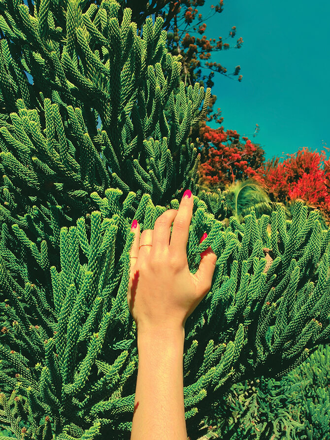 Forthcoming monograph, titled "Rose Syrup" , a collaboration with Natasha Kha