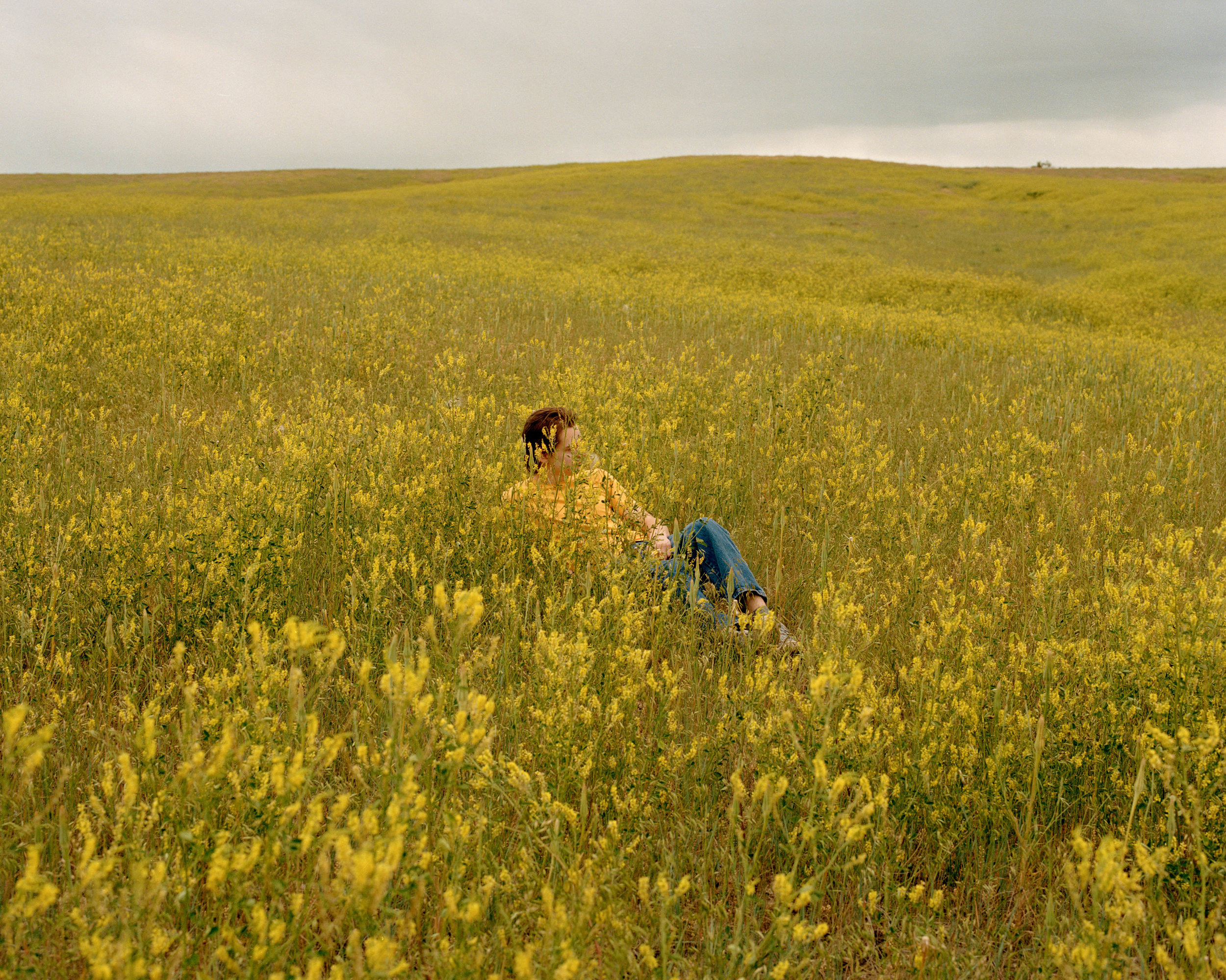 Northern Plains; for Caroline's project, titled "Big Sky"