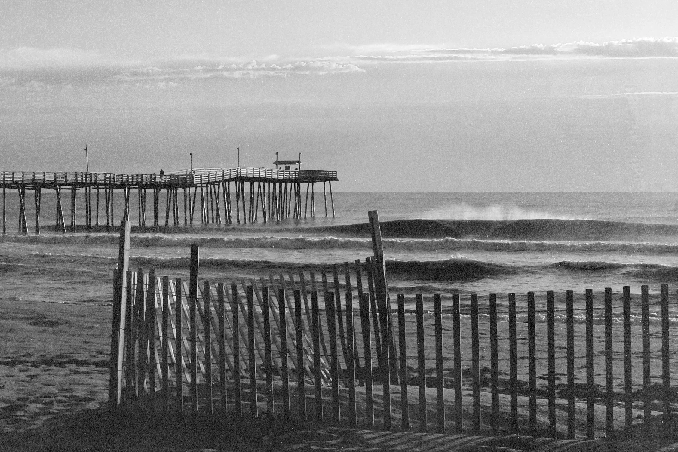 The Surf Report | November