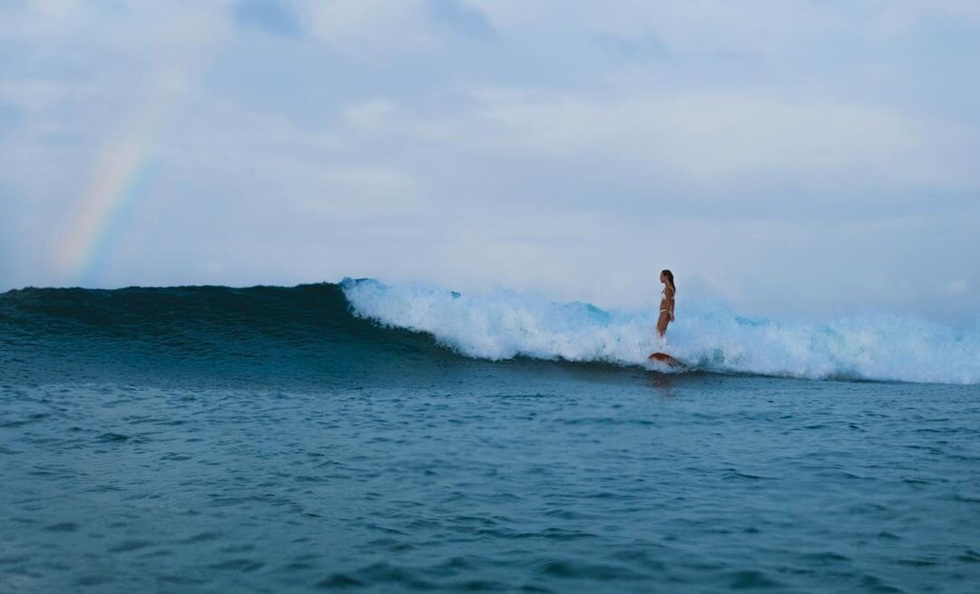 All I Wanna Do is Surf by Jessi Muir