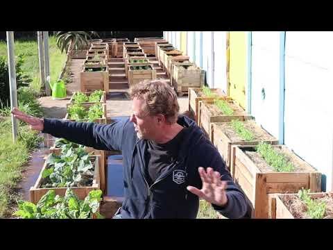 Groundswell Gardens | Update 2
