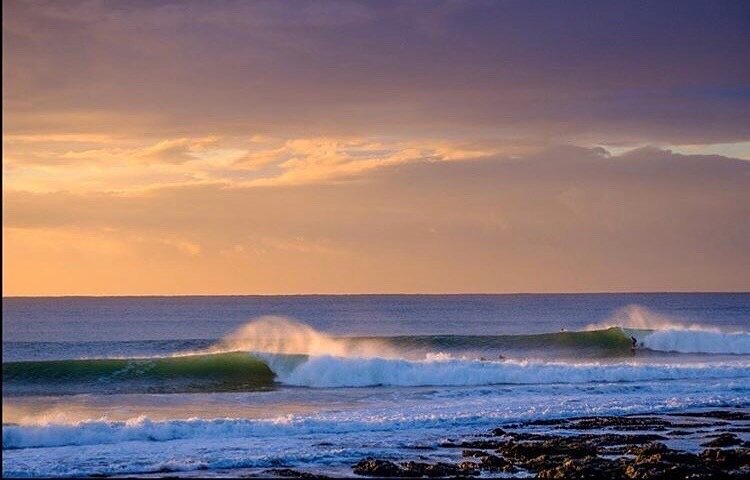 Living Water by David Nehrig