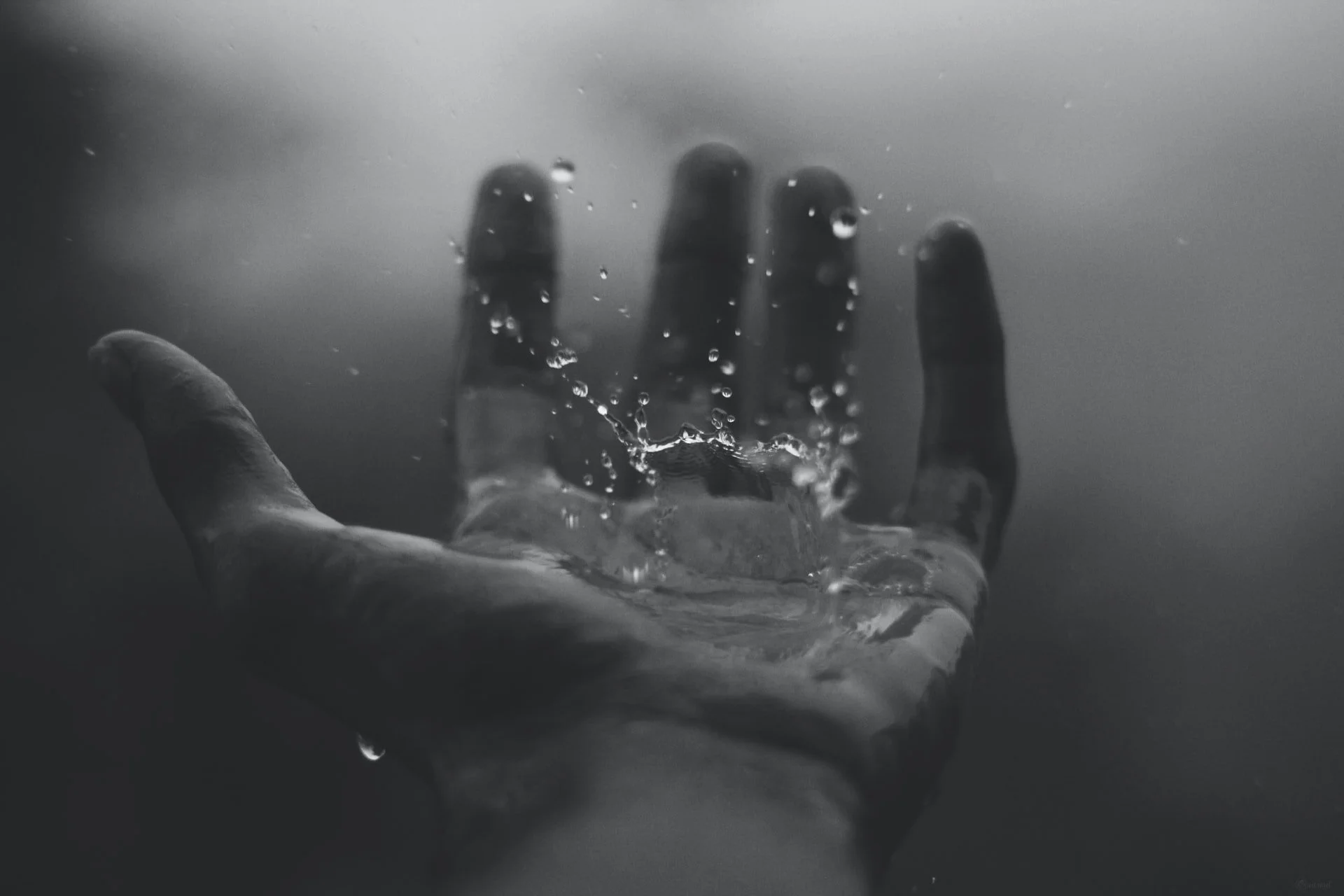 Living Water by Larry Garrett