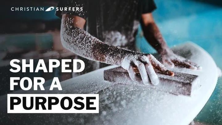 Shaped for a Purpose by Roy Harley