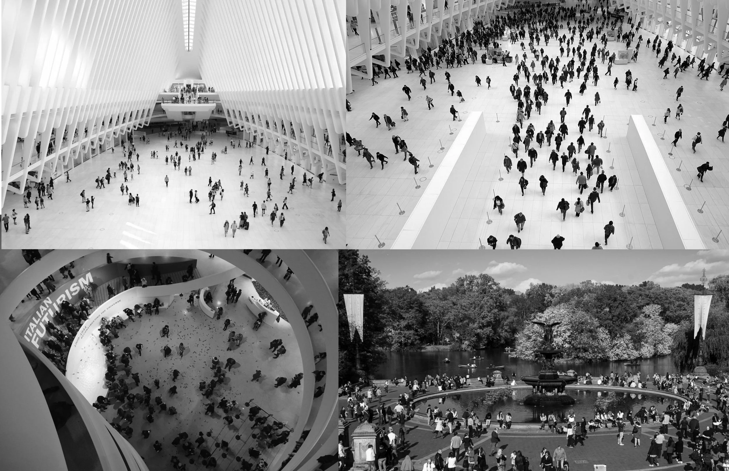 LocationComp B&W.jpg