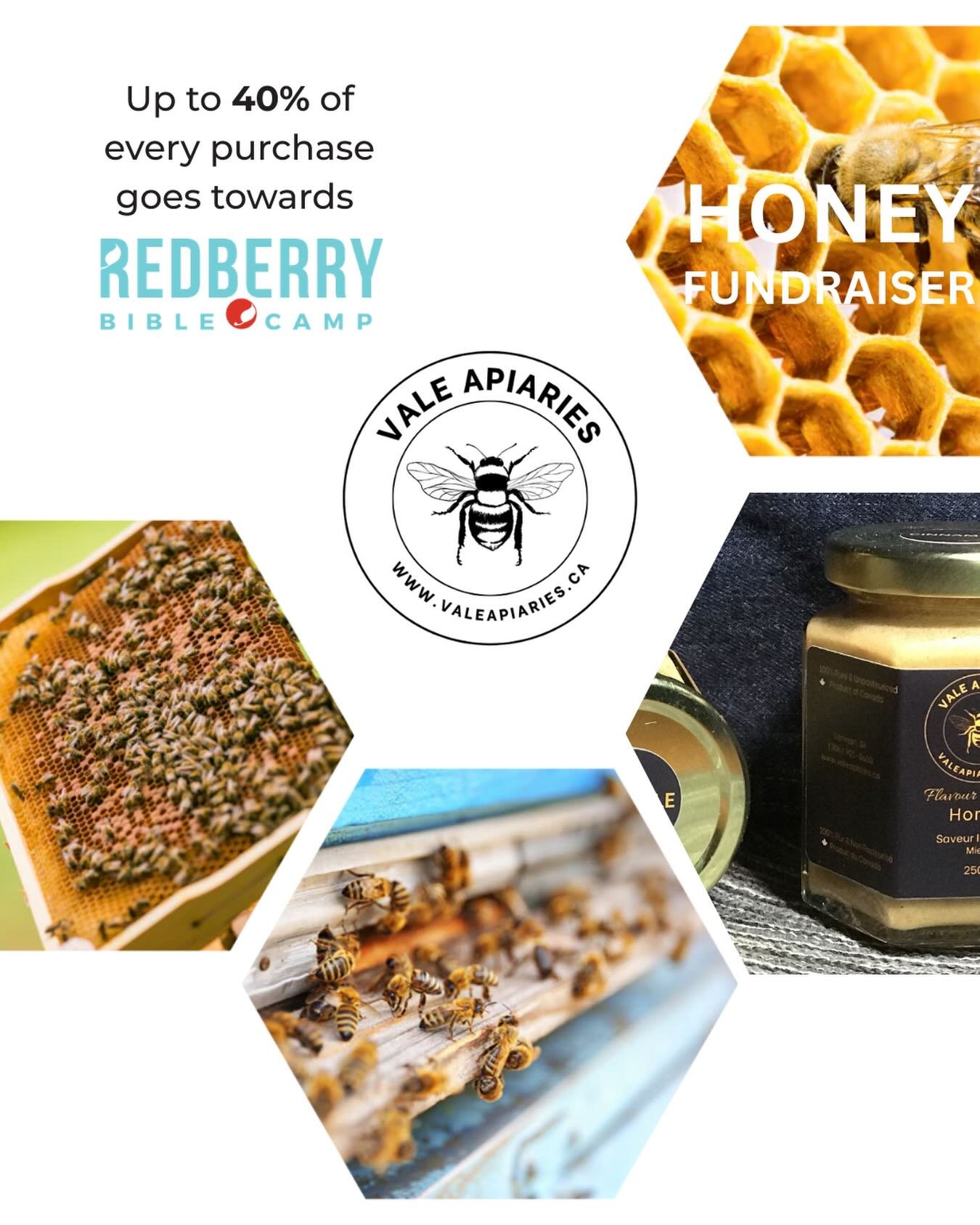 Get your honey now!! It&rsquo;s worth it!! 

#redberrybiblecamp #valespiaries #honey