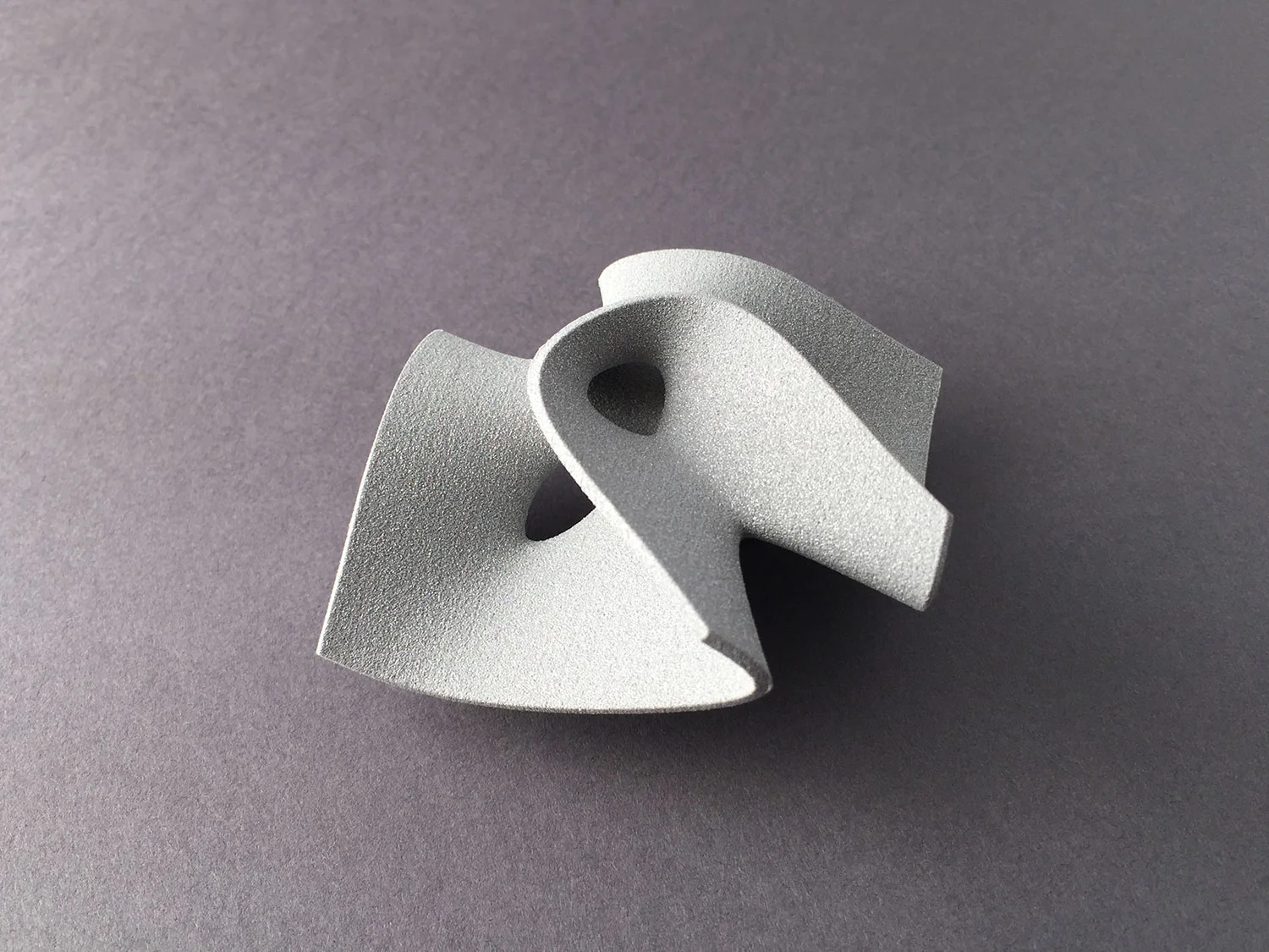 digimorphe_clebsch_pendant_1_0497_bw.jpg