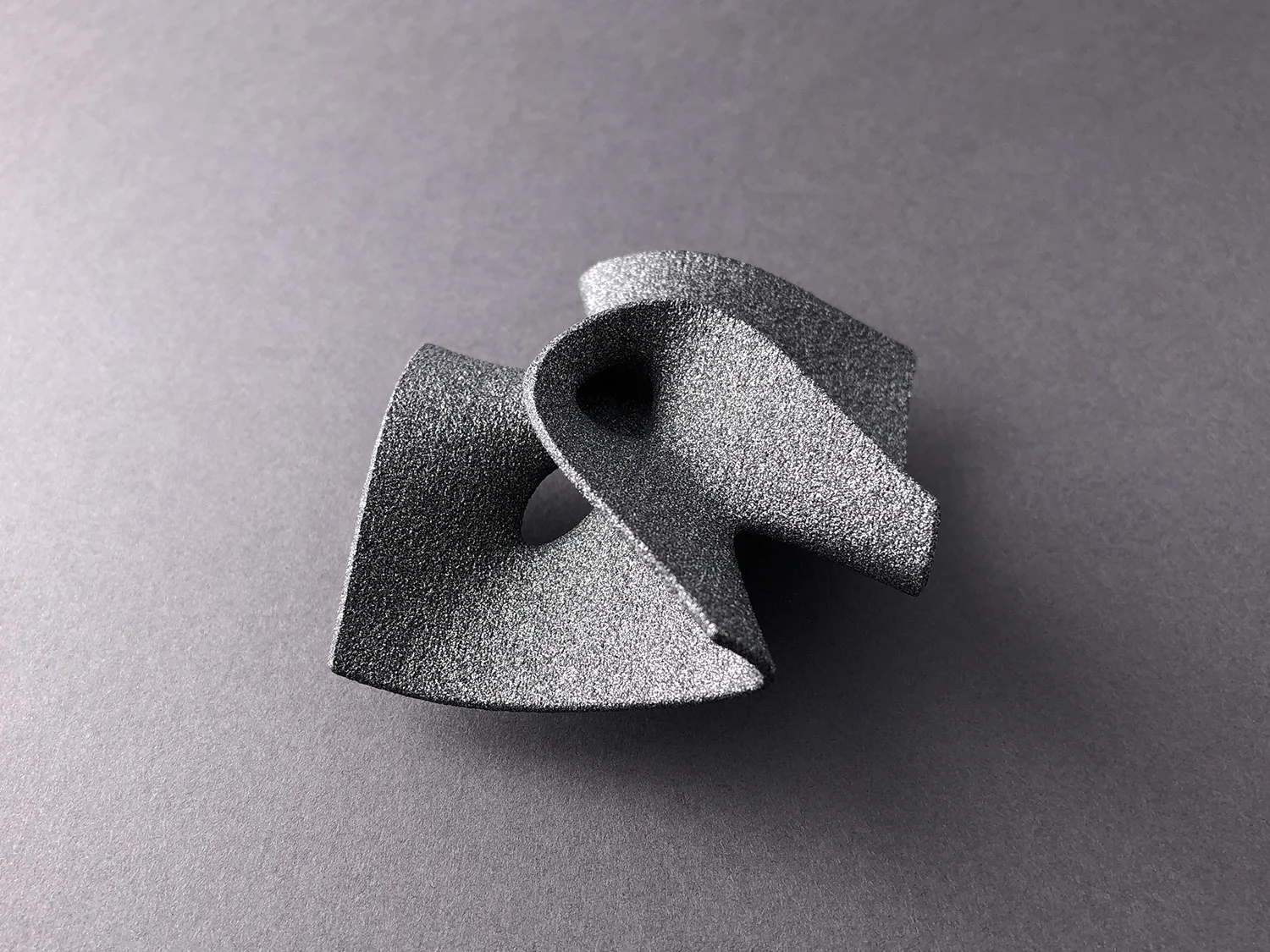 digimorphe_clebsch_pendant_1_2529_bw.jpg