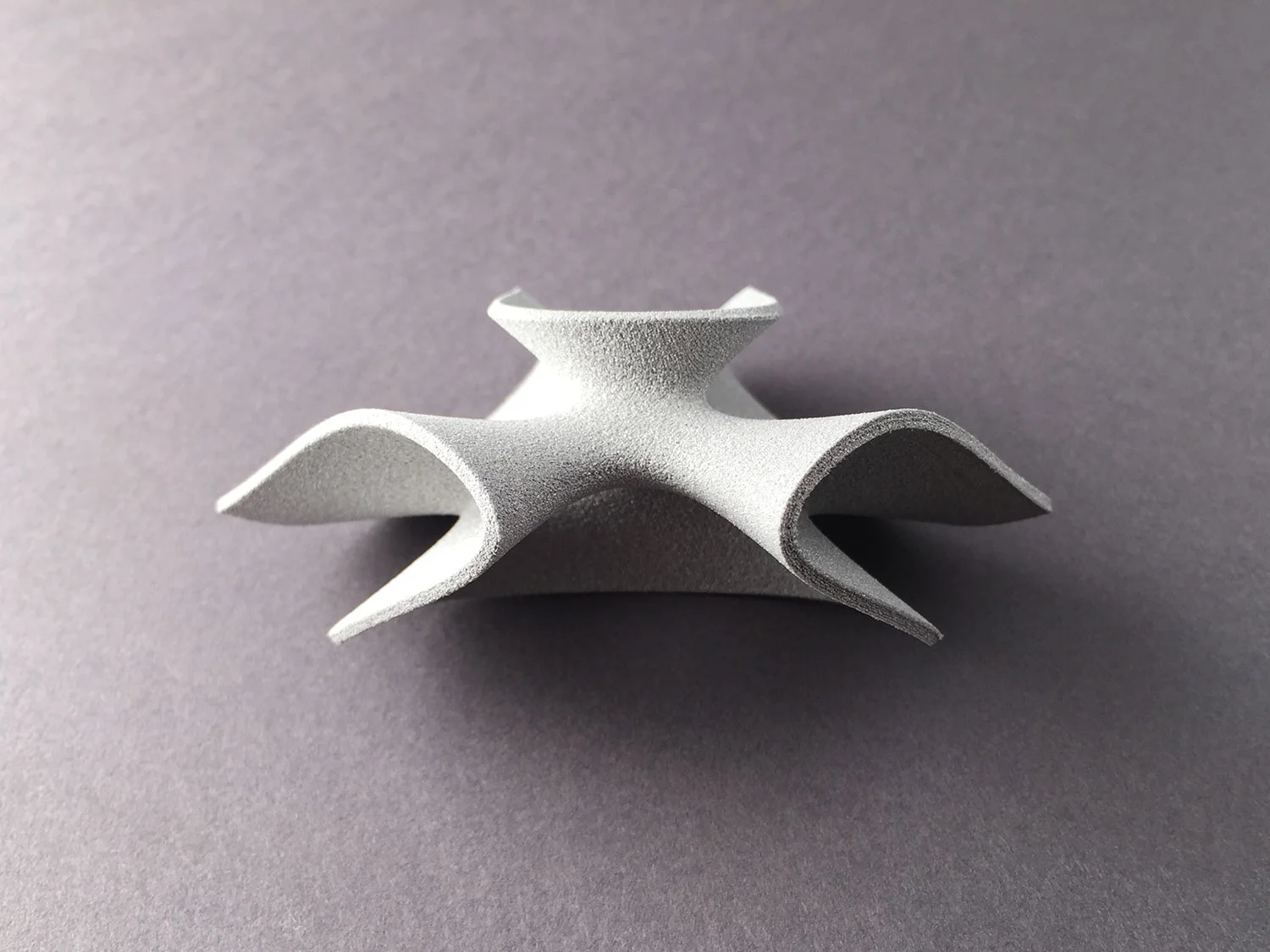 digimorphe_clebsch_pendant_1_0498_bw.jpg