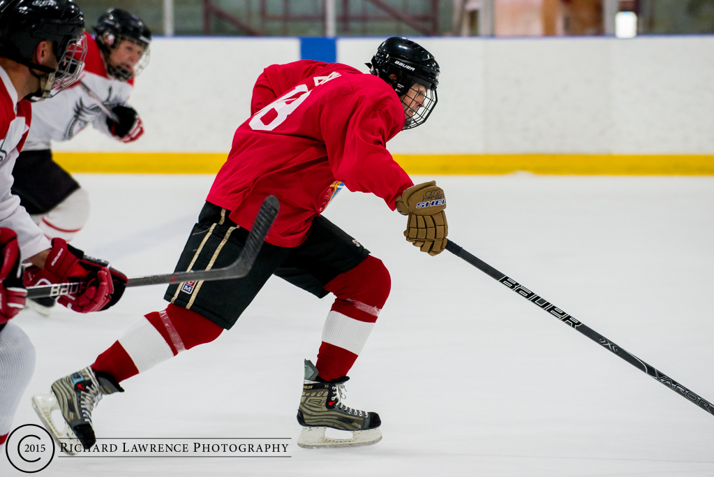 hockey 12.jpg
