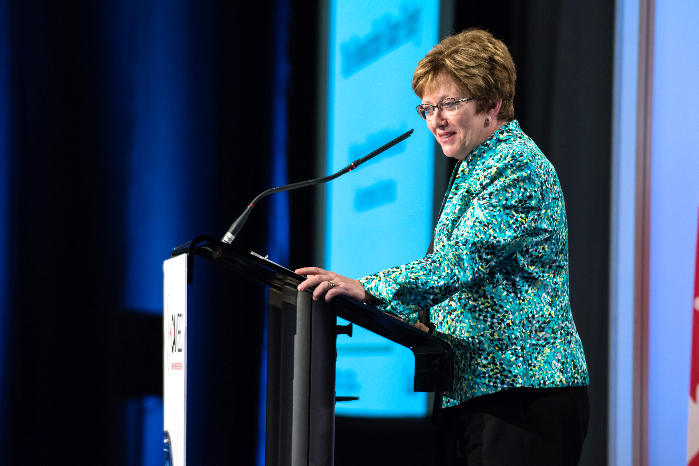 Minister of Public Works and Government Services Diane Finley outlined at the CANSEC 2015 trade show in Ottawa on May 28 the Conservative government's plan to apply the Defence Procurement Strategy to all new procurements. (Richard Lawrence)