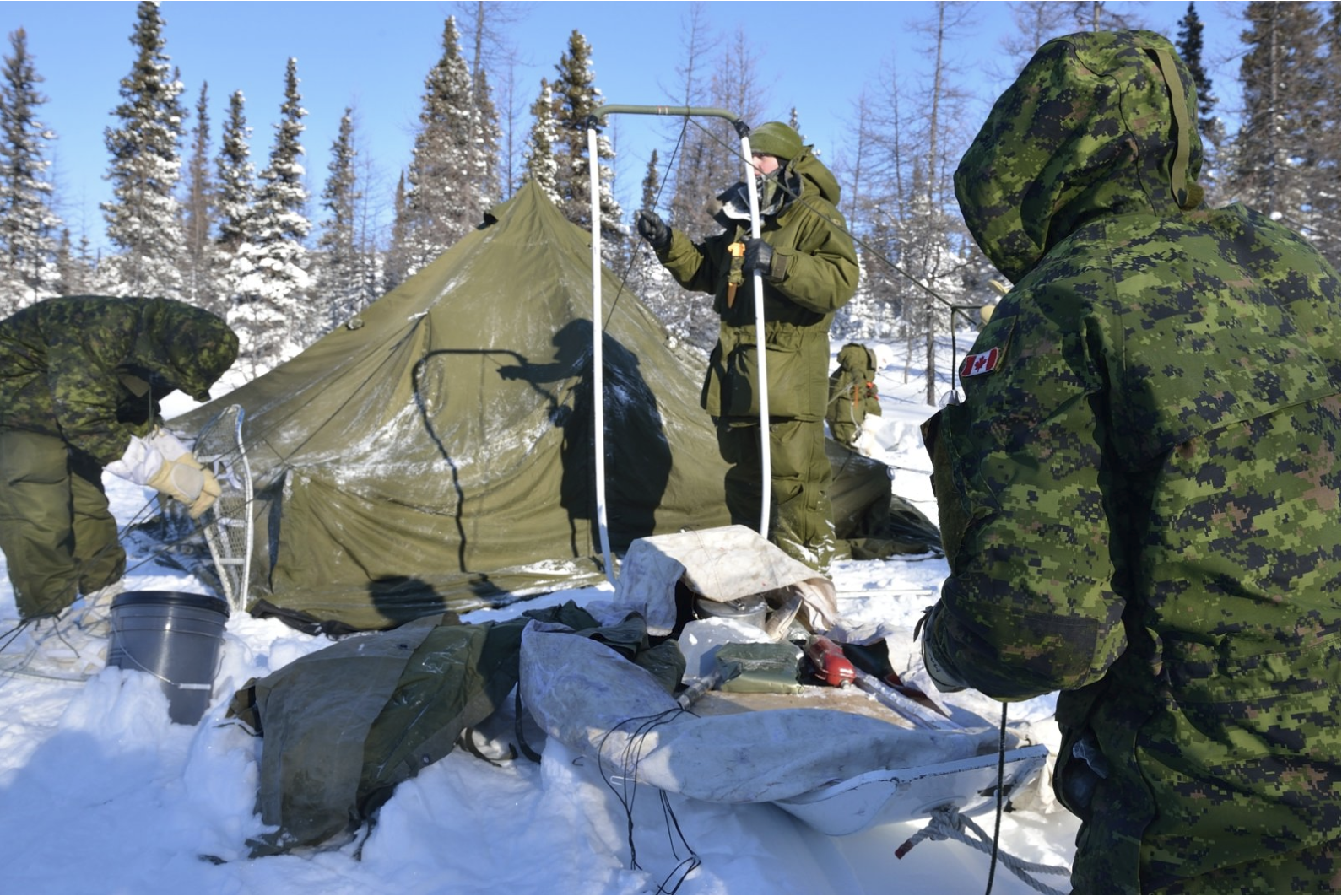 Screenshot 2026-02-19 at 11.36.48 AM.png