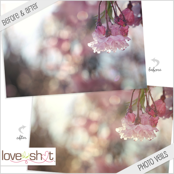 Photo veil before & after