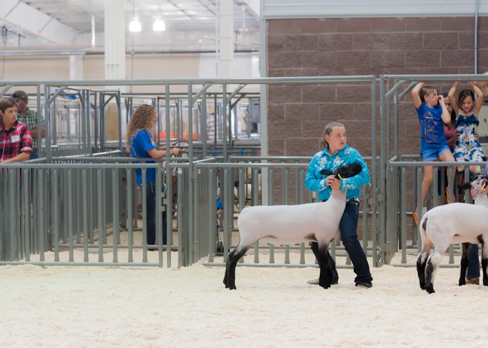 Fair (6 of 10).jpg