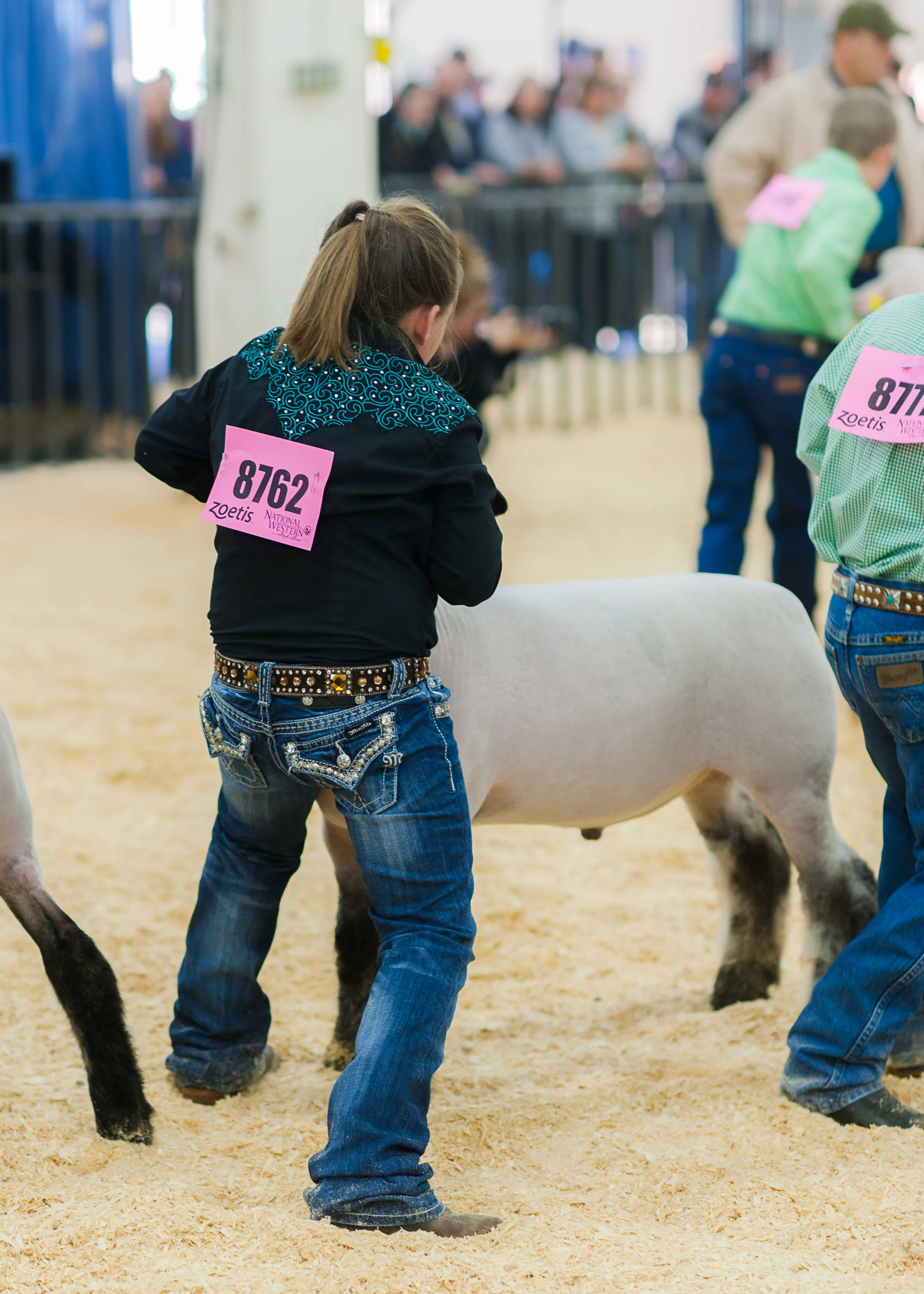 as-nwss-2014-8.jpg