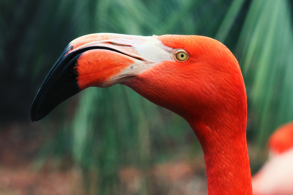 zoo1.jpg