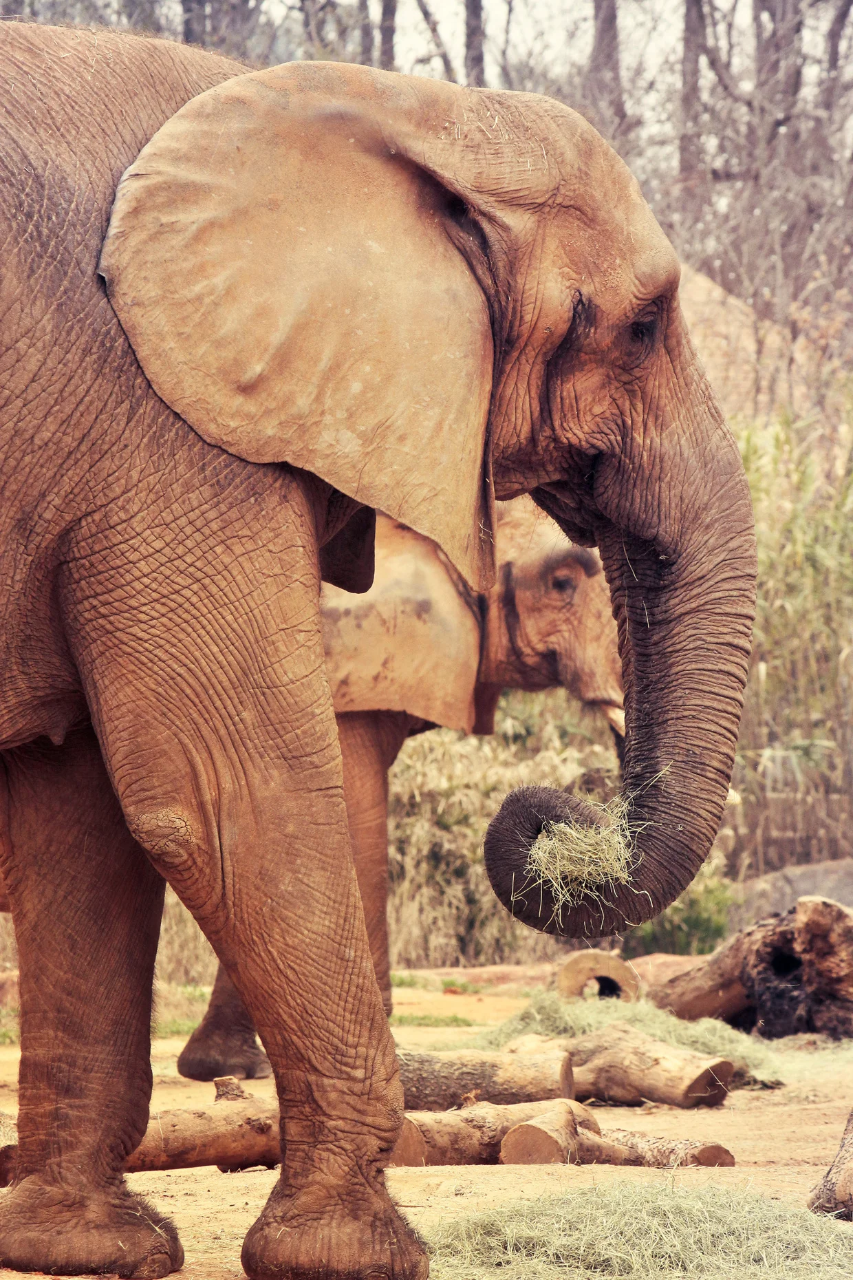 zoo15.jpg