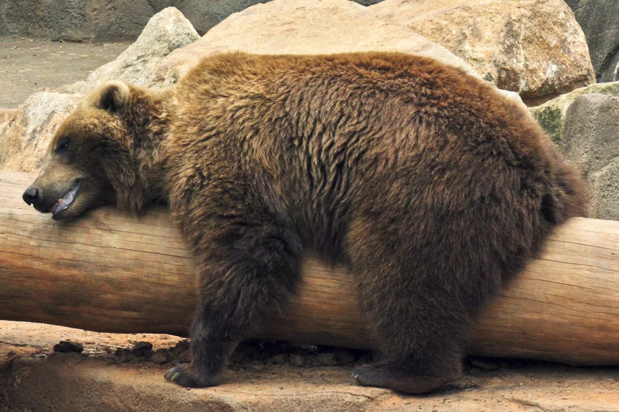 zoo18.jpg