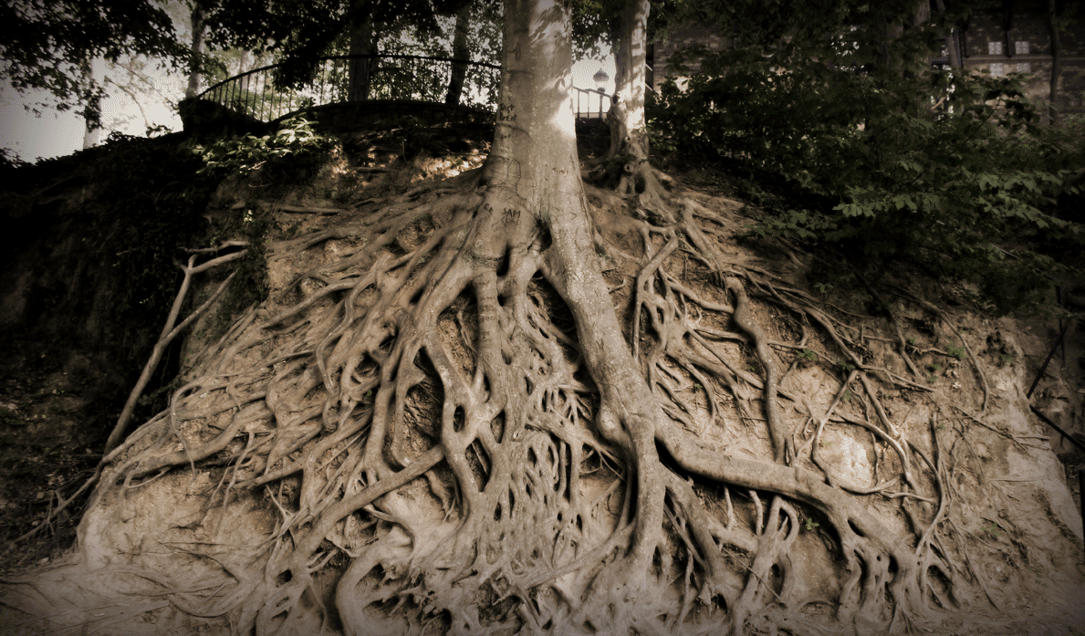 2011-5.gif