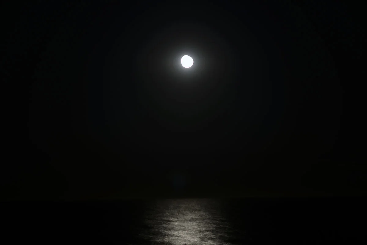 _D8K4379.JPG