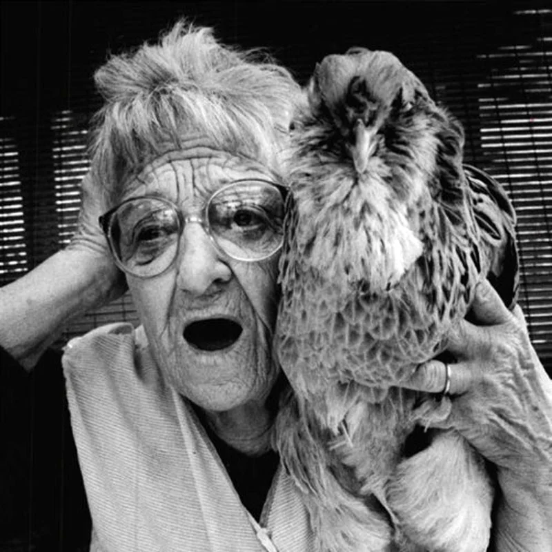 Chicken Grandma - Square.jpg