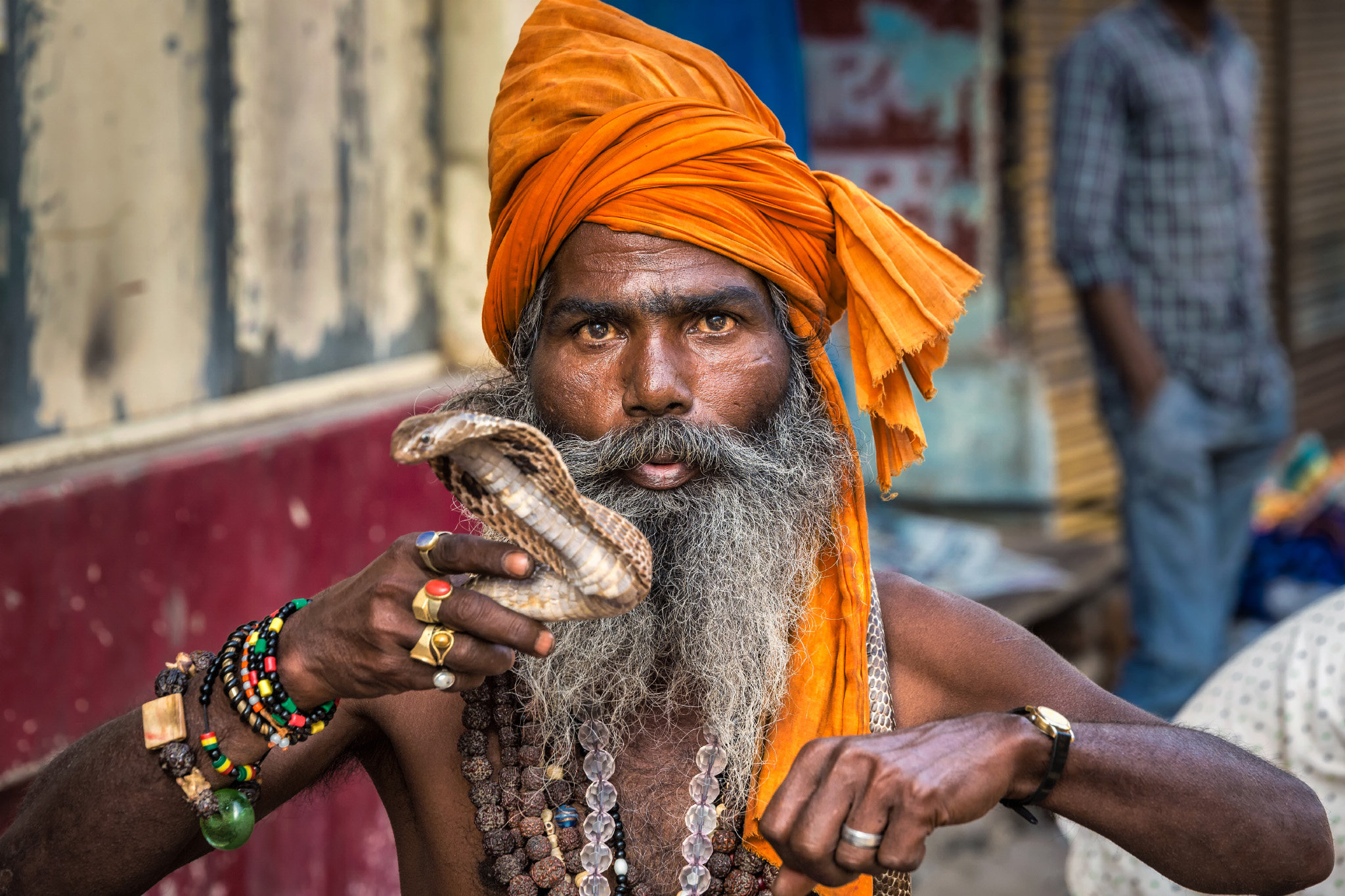 Snake sadhu