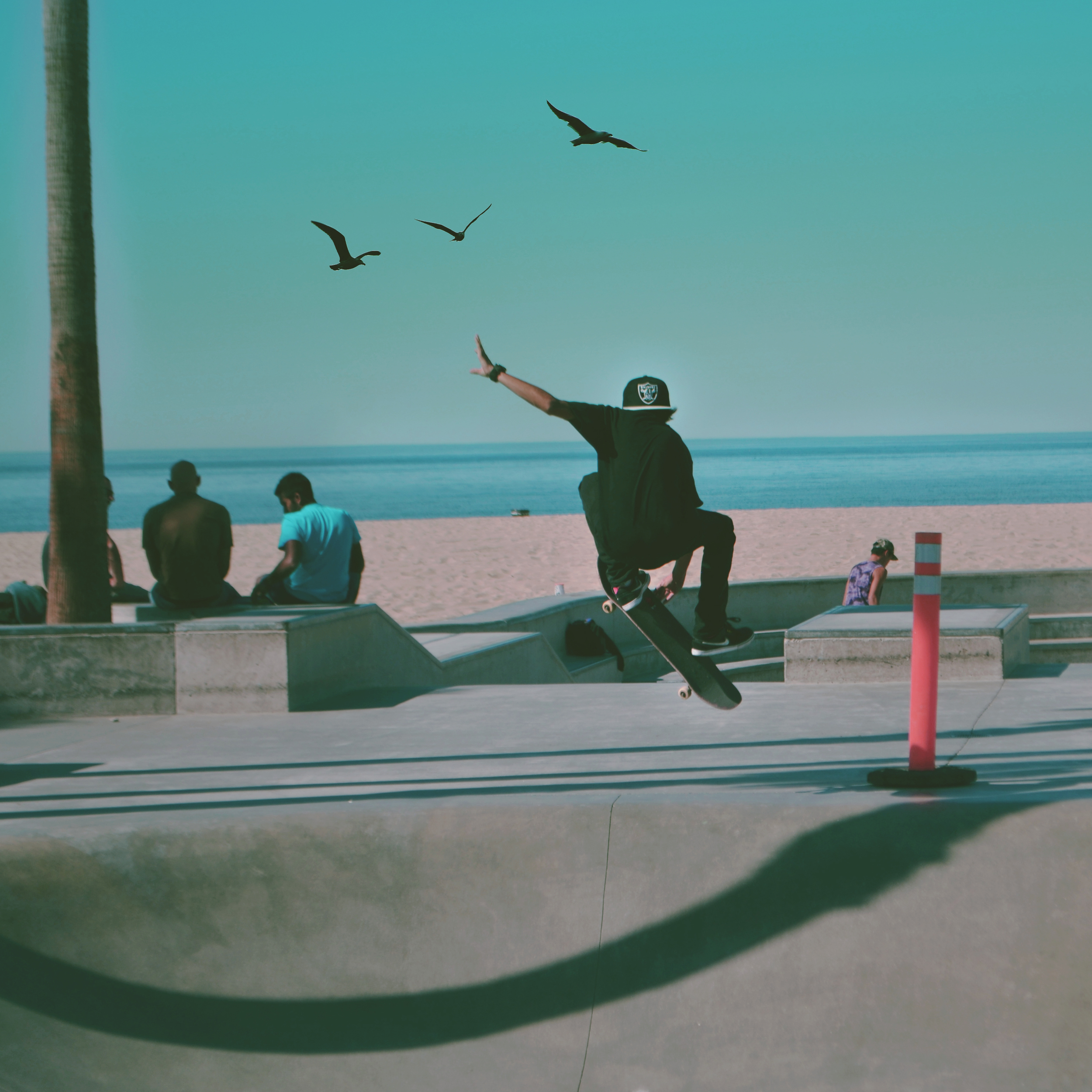 skateboarding3.jpg