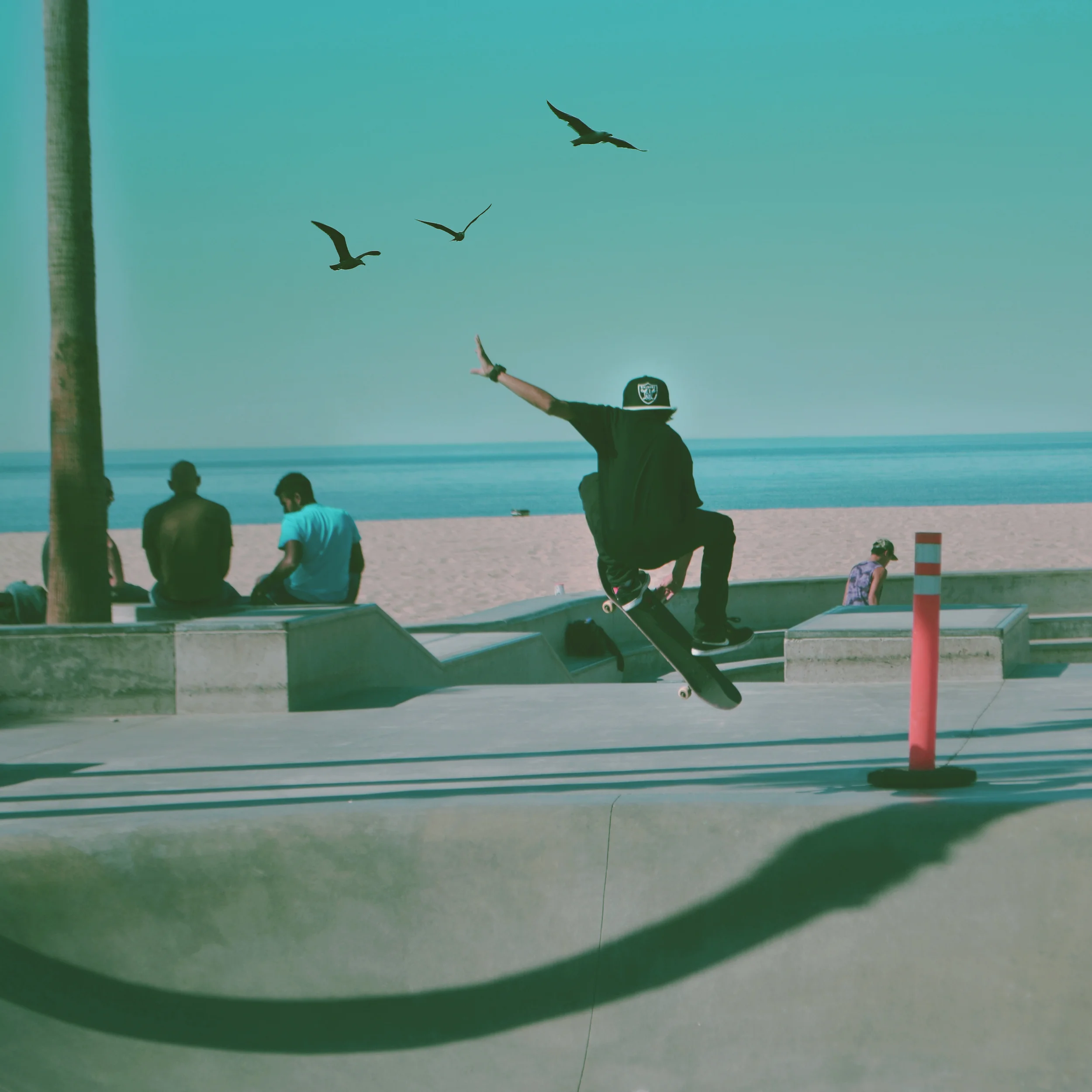skateboarding2.jpg