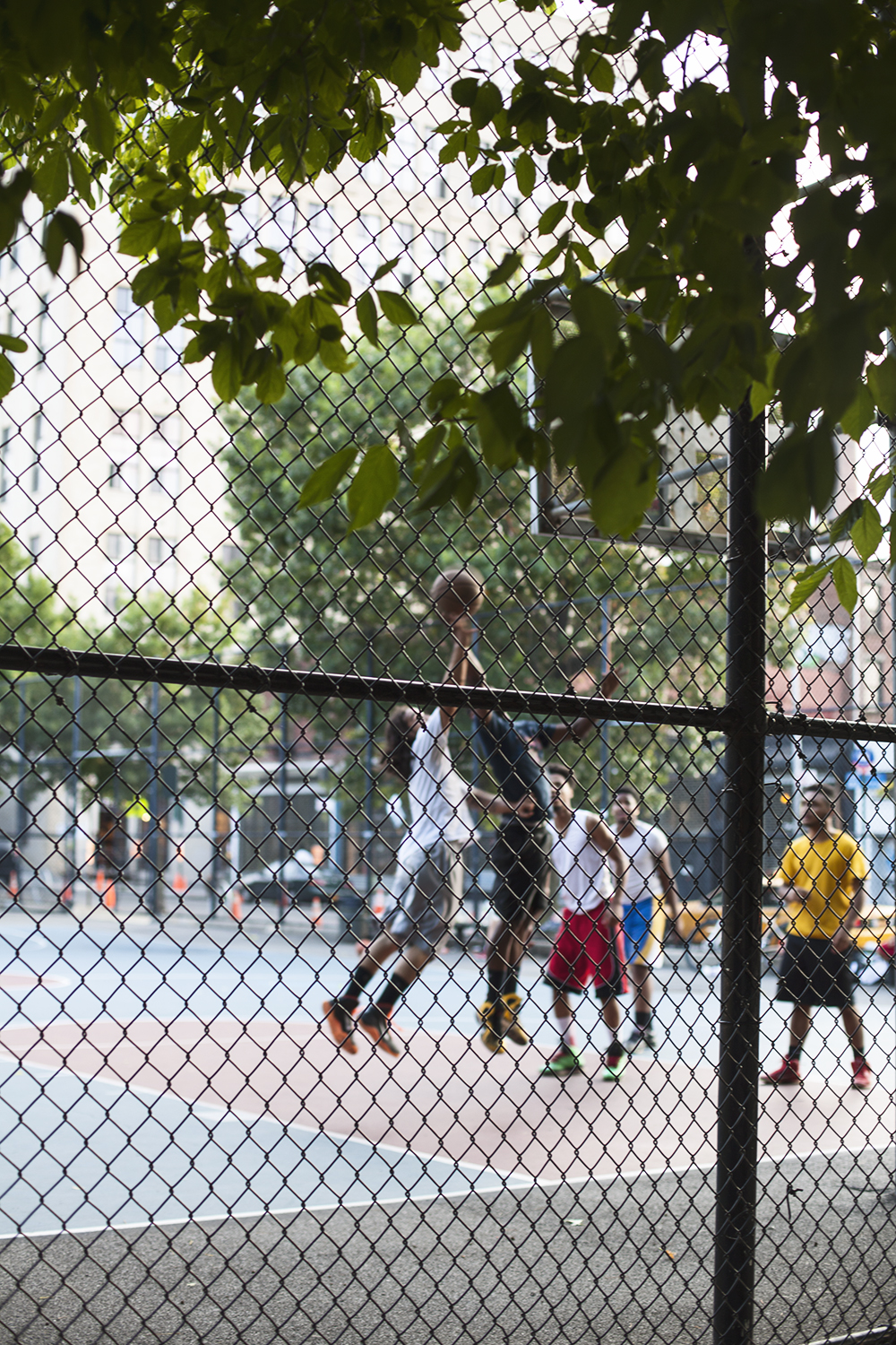 Basketball_1000.jpg