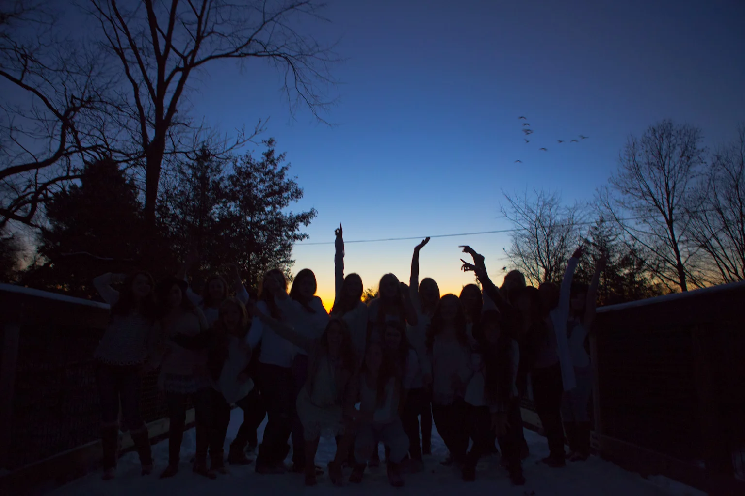 Document Name1112114_12.JPG