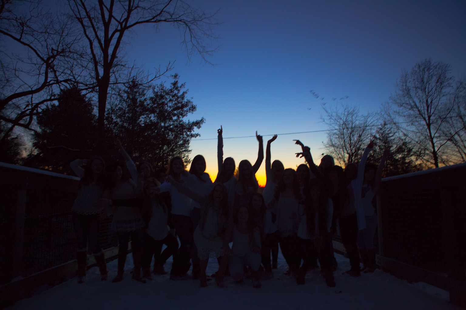 Document Name1112114_13.JPG