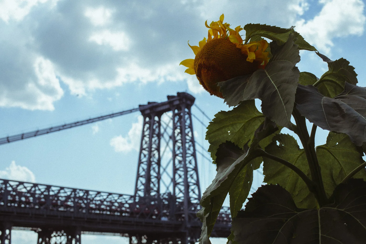 Document Name1120314_7.JPG