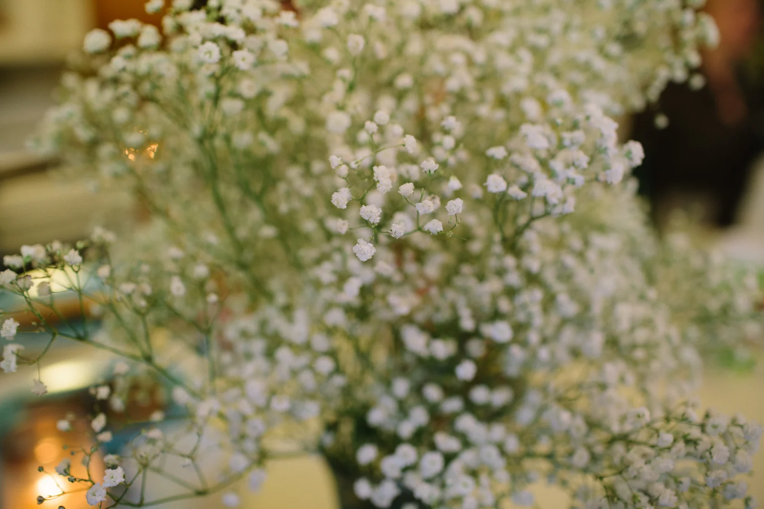 Document Name1120814_10.JPG