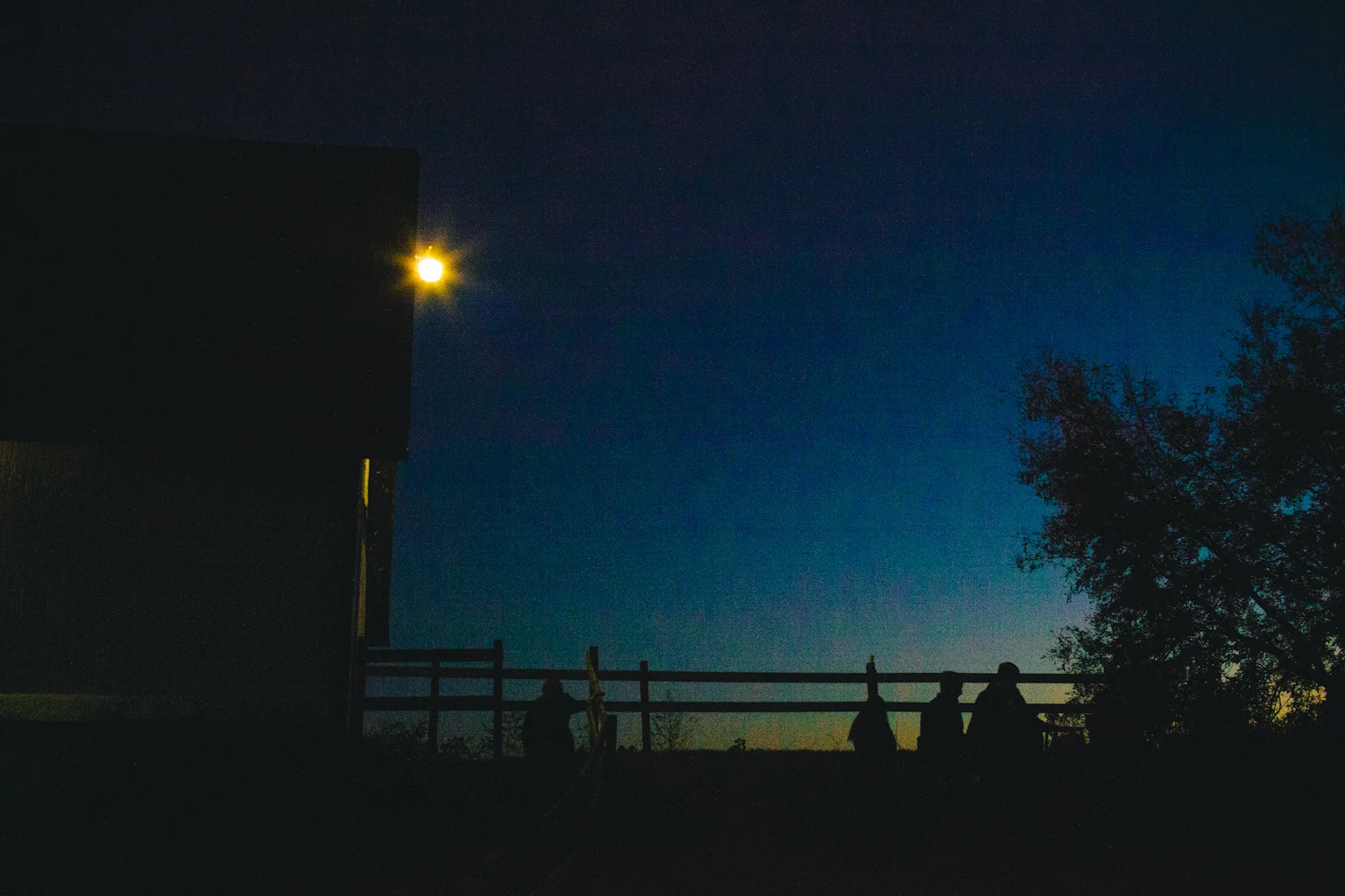 Document Name1120814_132.JPG