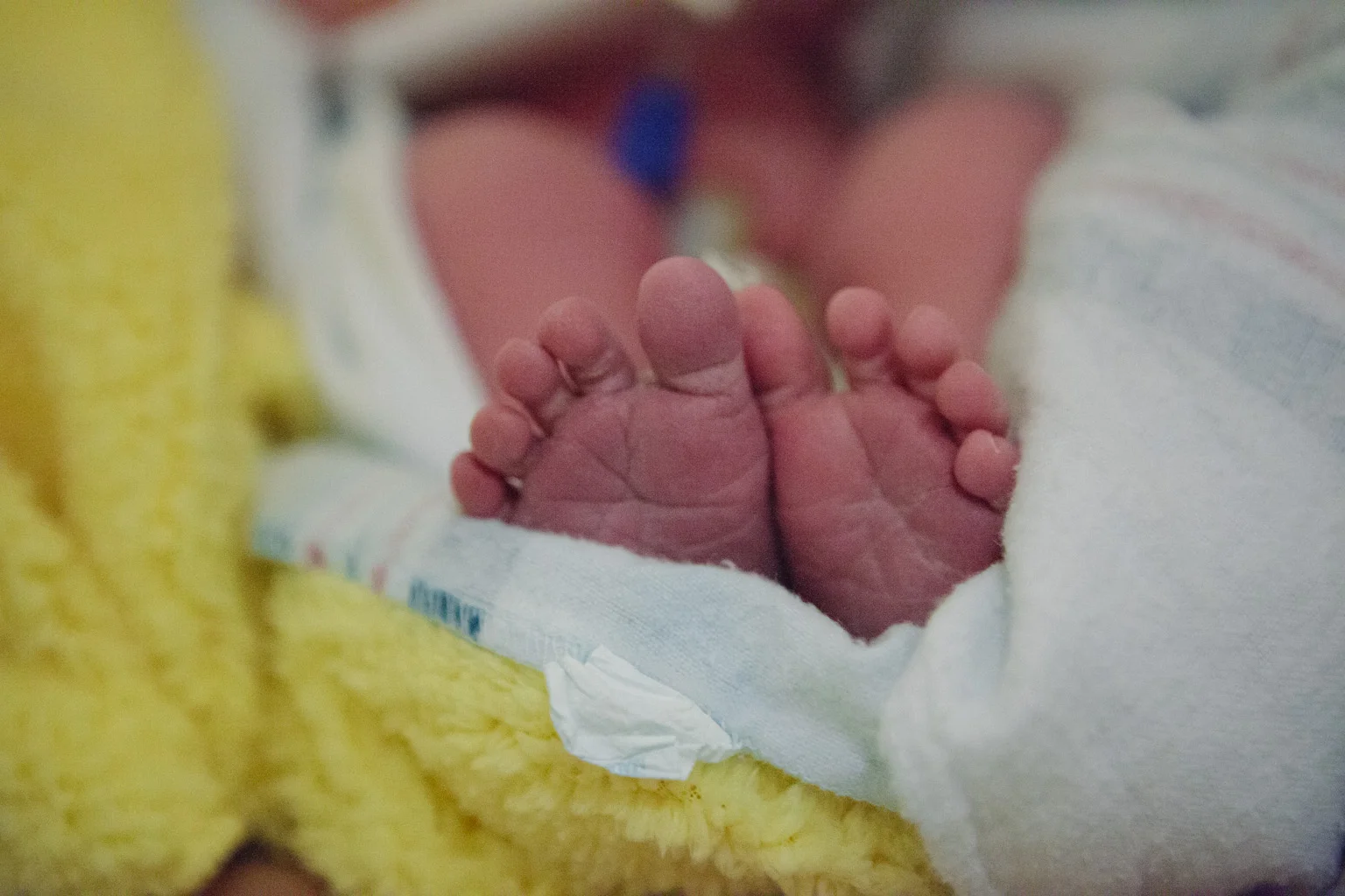 Document Name1111614_49.JPG