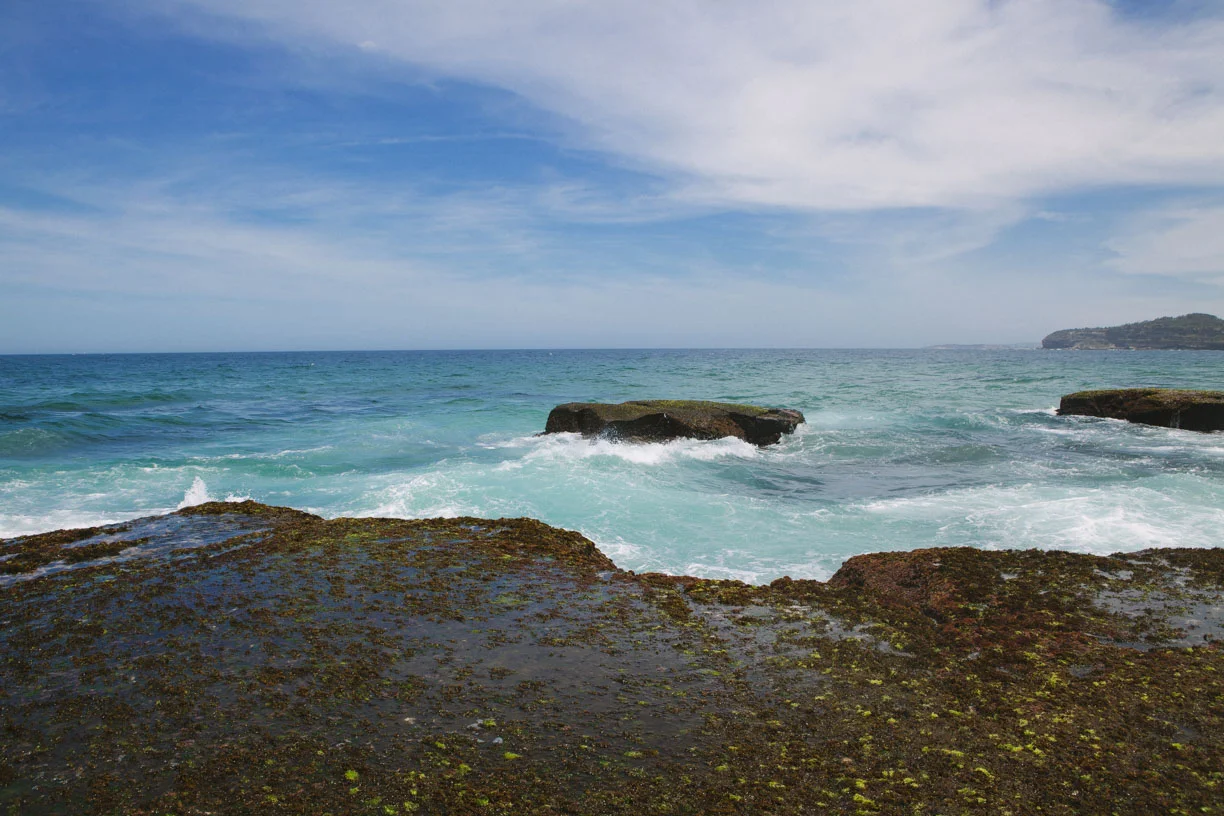 IMG_4774.JPG