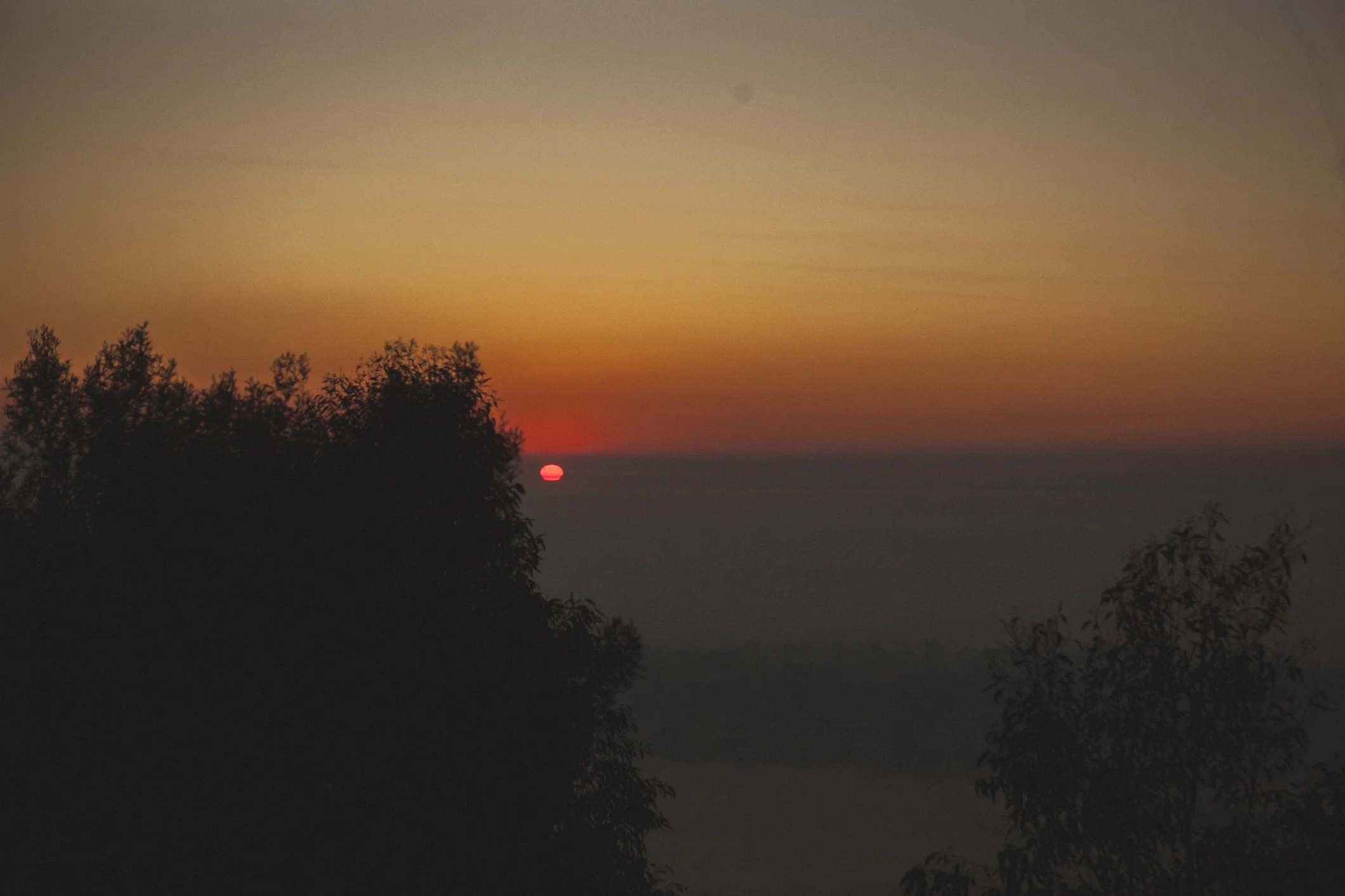 IMG_7732_3664.jpg