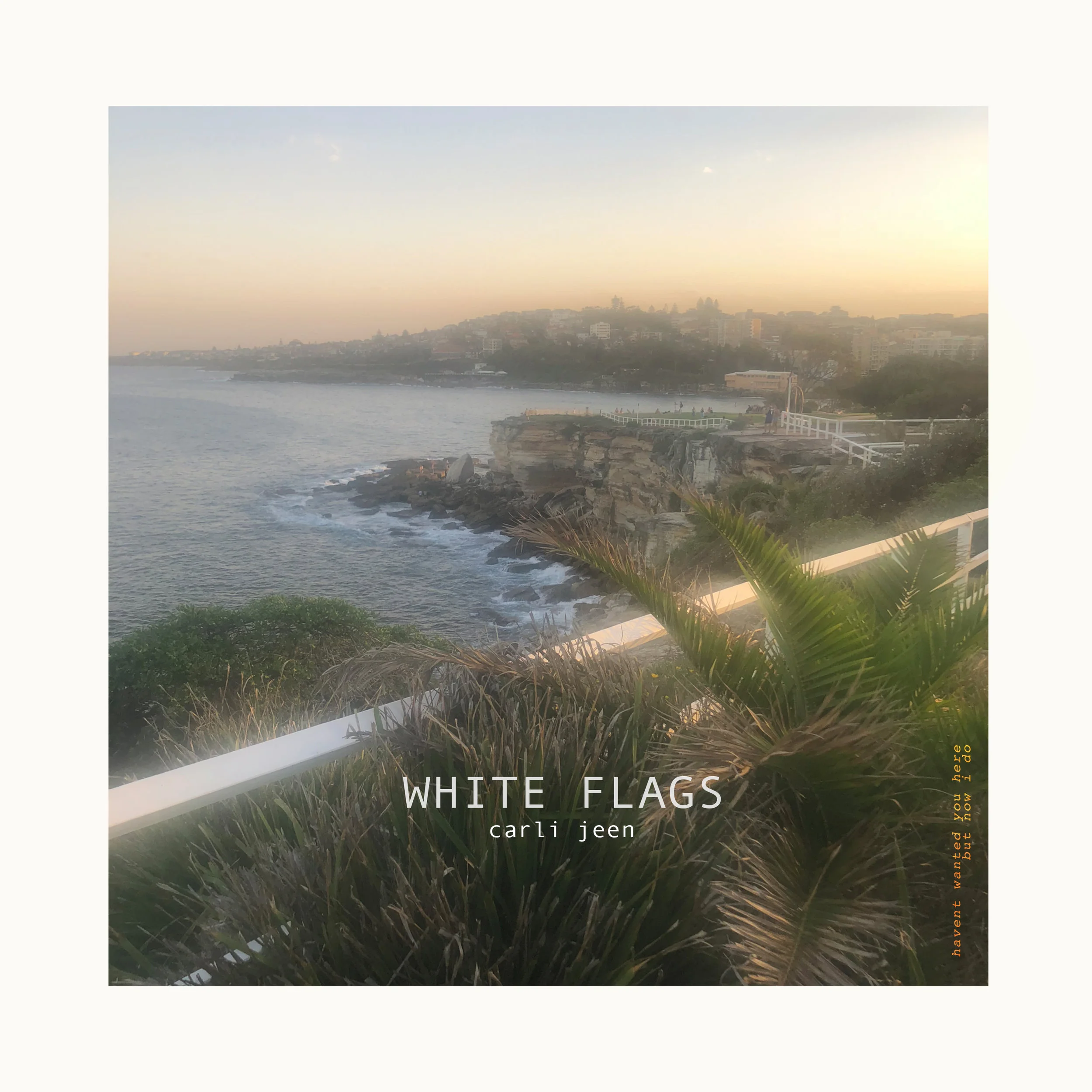 WHITEFLAGS_COVER.jpg