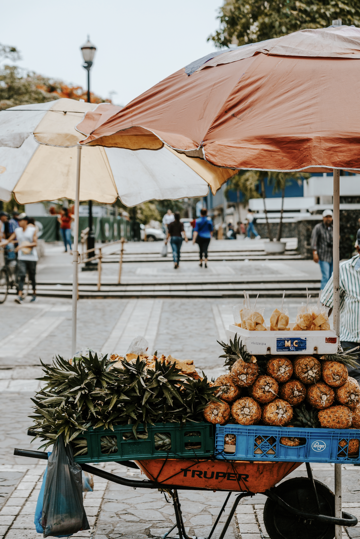 Screen Shot 2018-07-31 at 12.06.41 PM.png